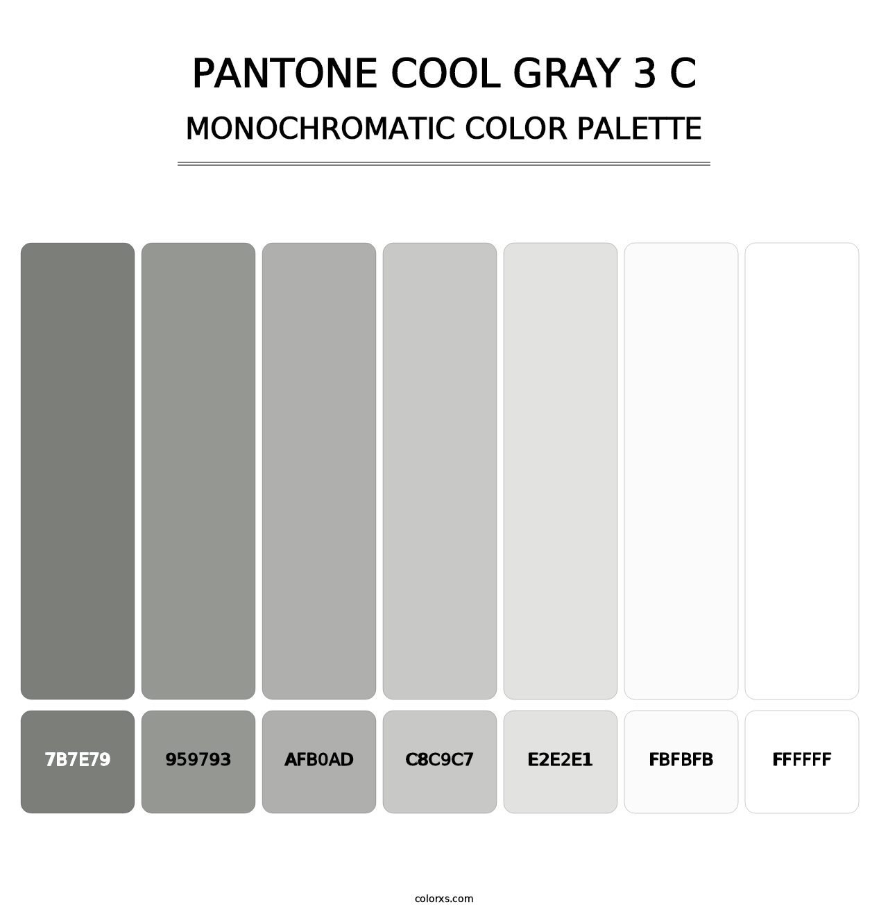 PANTONE Cool Gray 3 C - Monochromatic Color Palette