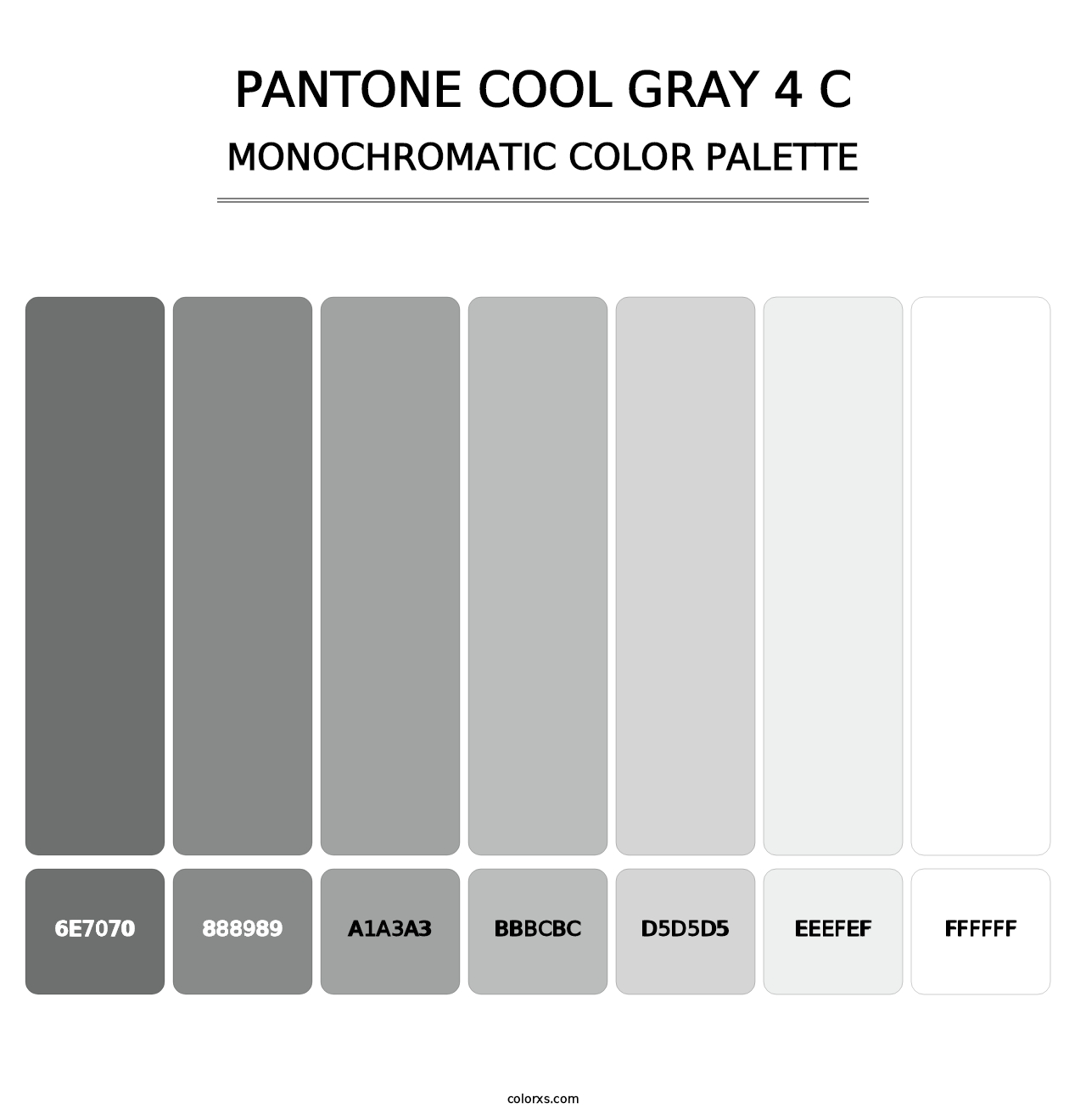 PANTONE Cool Gray 4 C - Monochromatic Color Palette