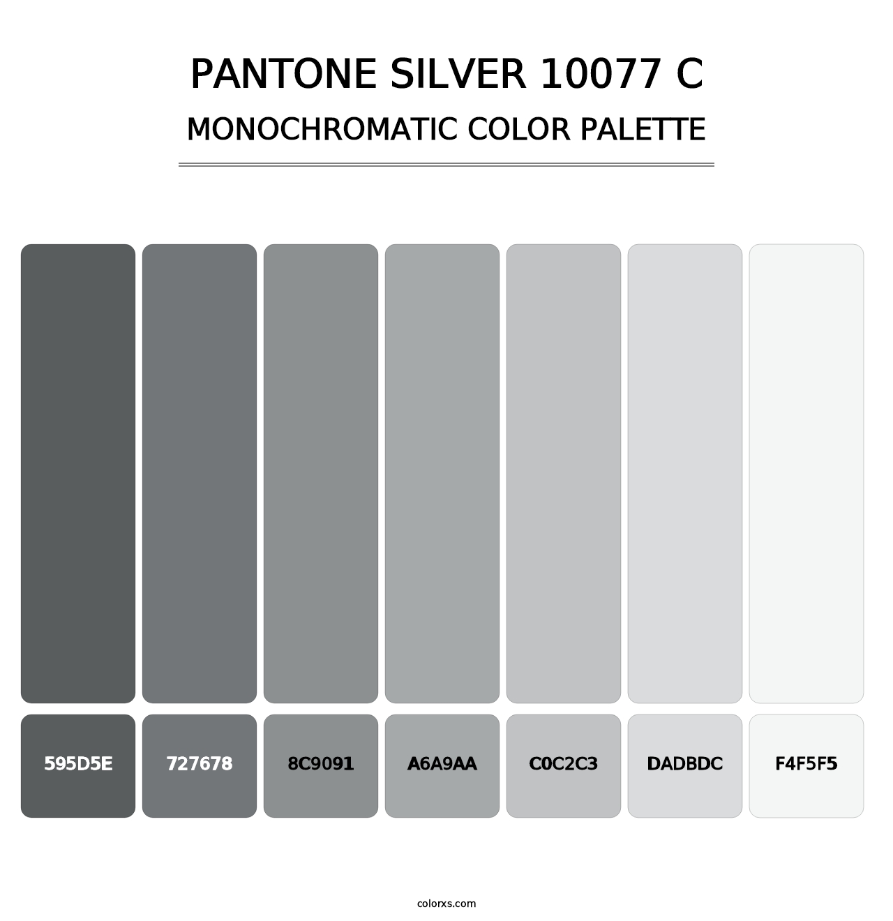 PANTONE Silver 10077 C - Monochromatic Color Palette