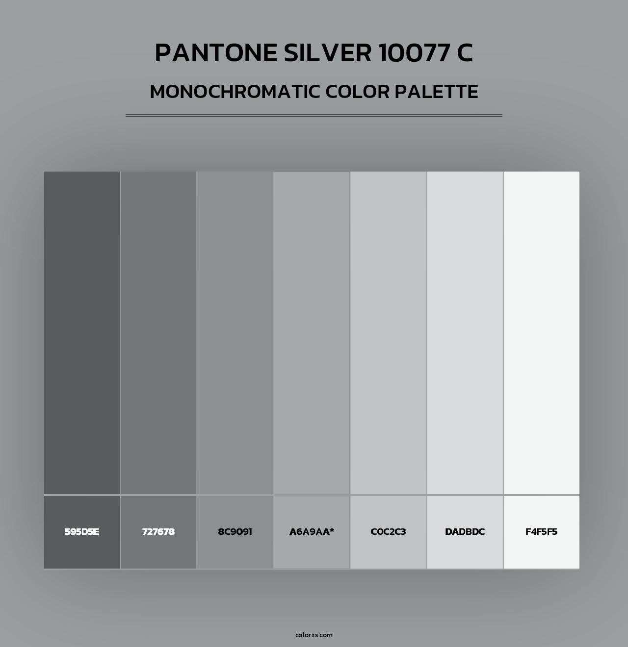 PANTONE Silver 10077 C color palettes