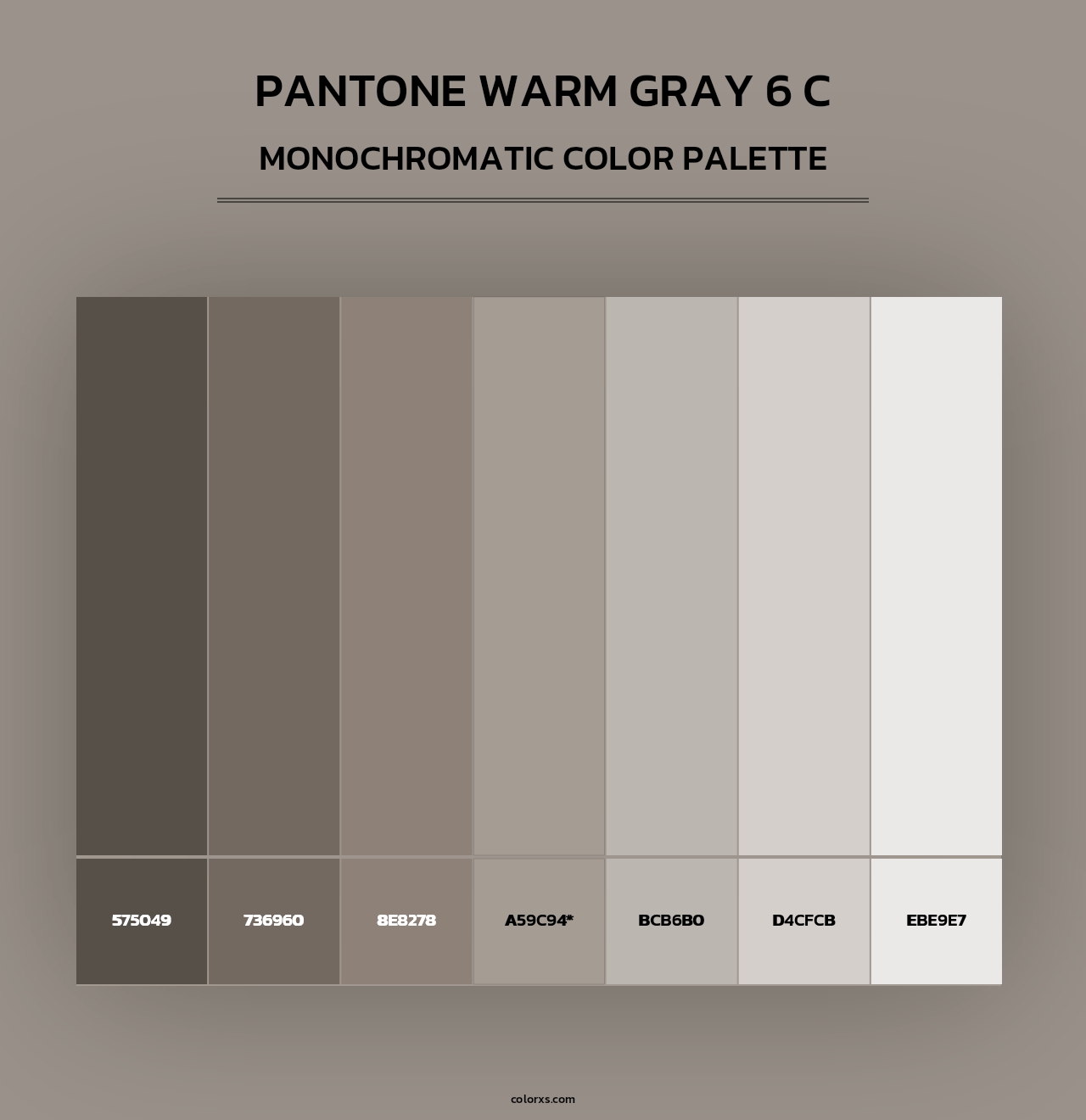 PANTONE Warm Gray 6 C - Monochromatic Color Palette