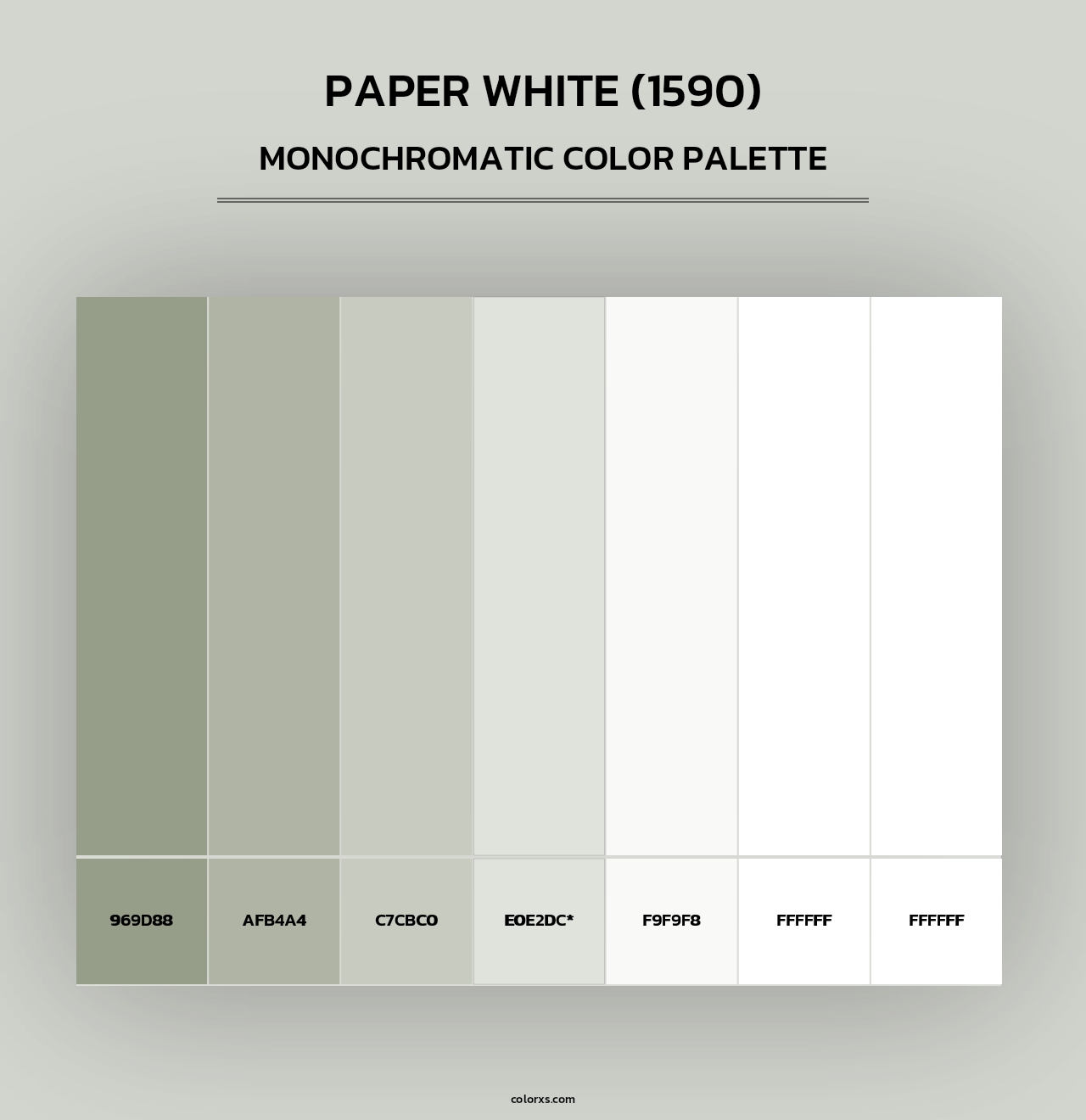 Paper White (1590) - Monochromatic Color Palette