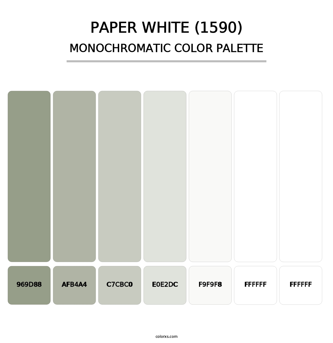 Paper White (1590) - Monochromatic Color Palette
