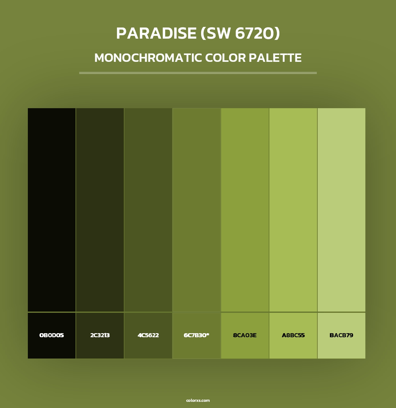 Paradise (SW 6720) - Monochromatic Color Palette