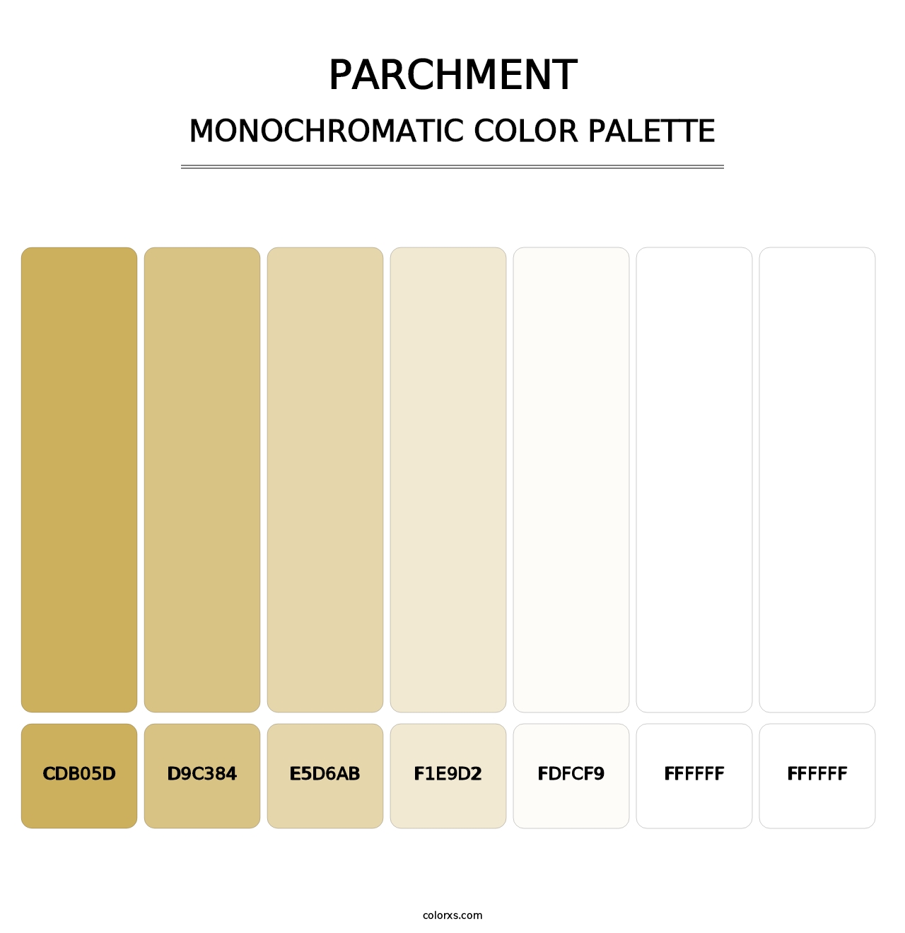 Parchment - Monochromatic Color Palette