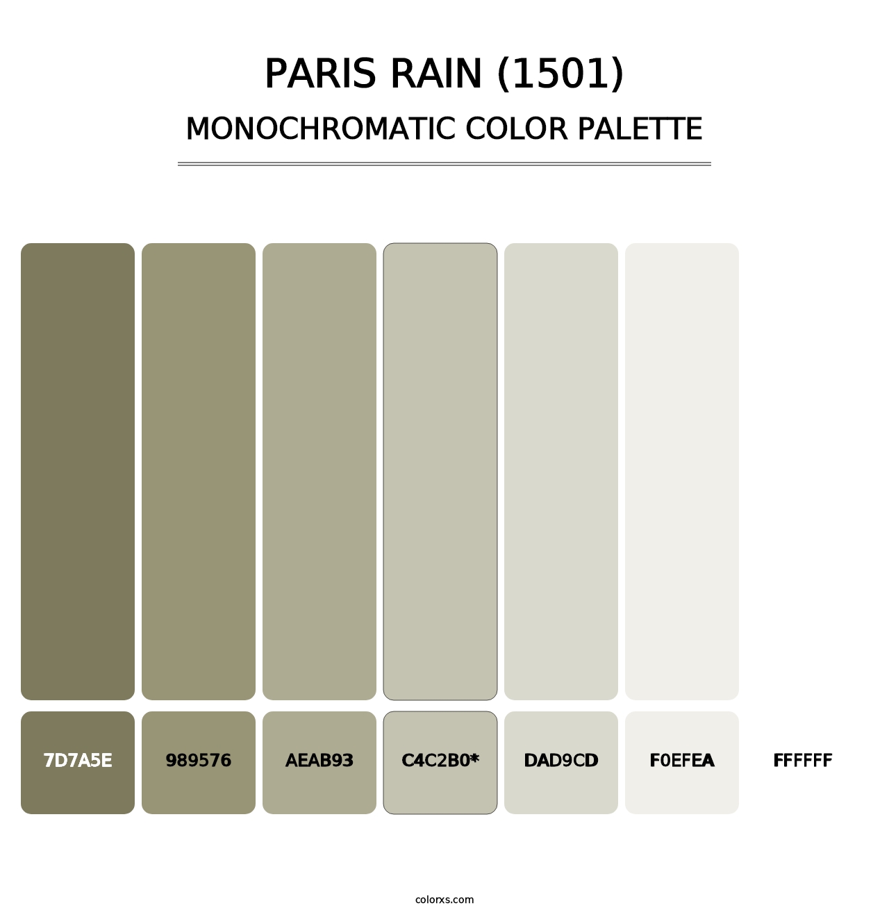 Paris Rain (1501) - Monochromatic Color Palette