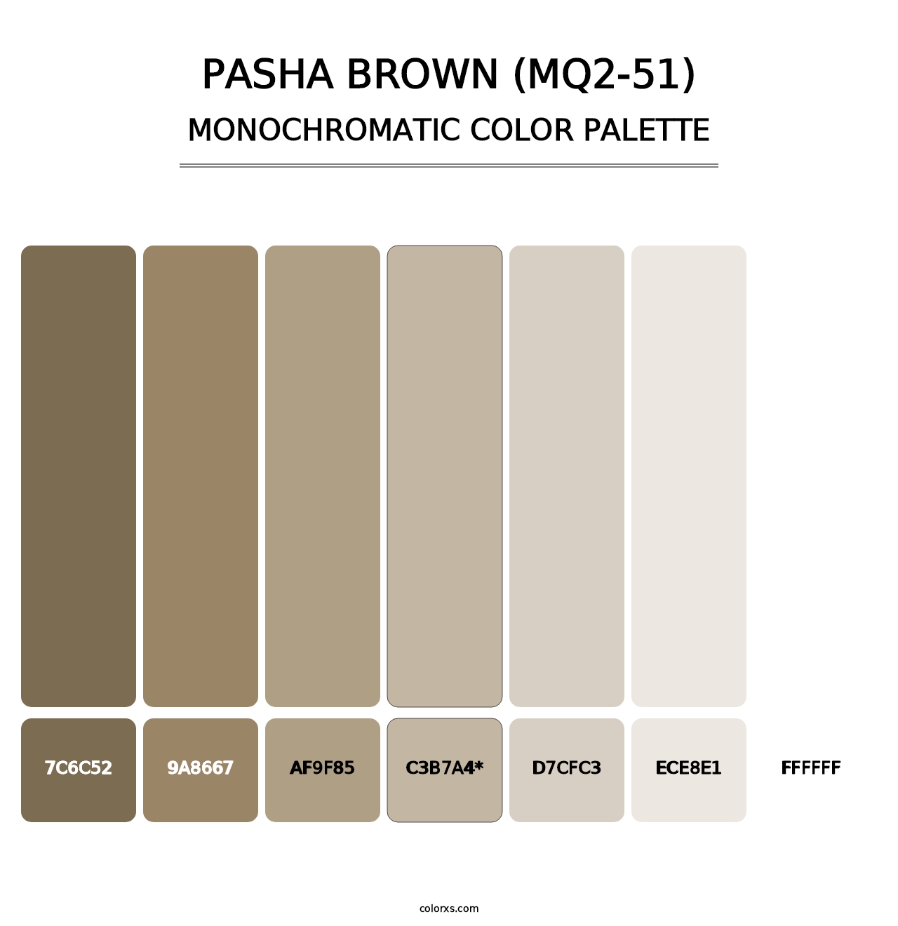 Pasha Brown (MQ2-51) - Monochromatic Color Palette