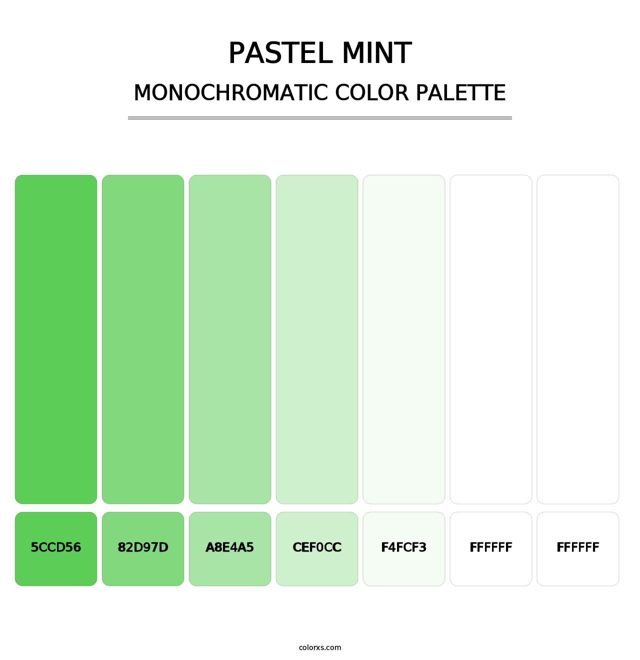 Pastel Mint - Monochromatic Color Palette