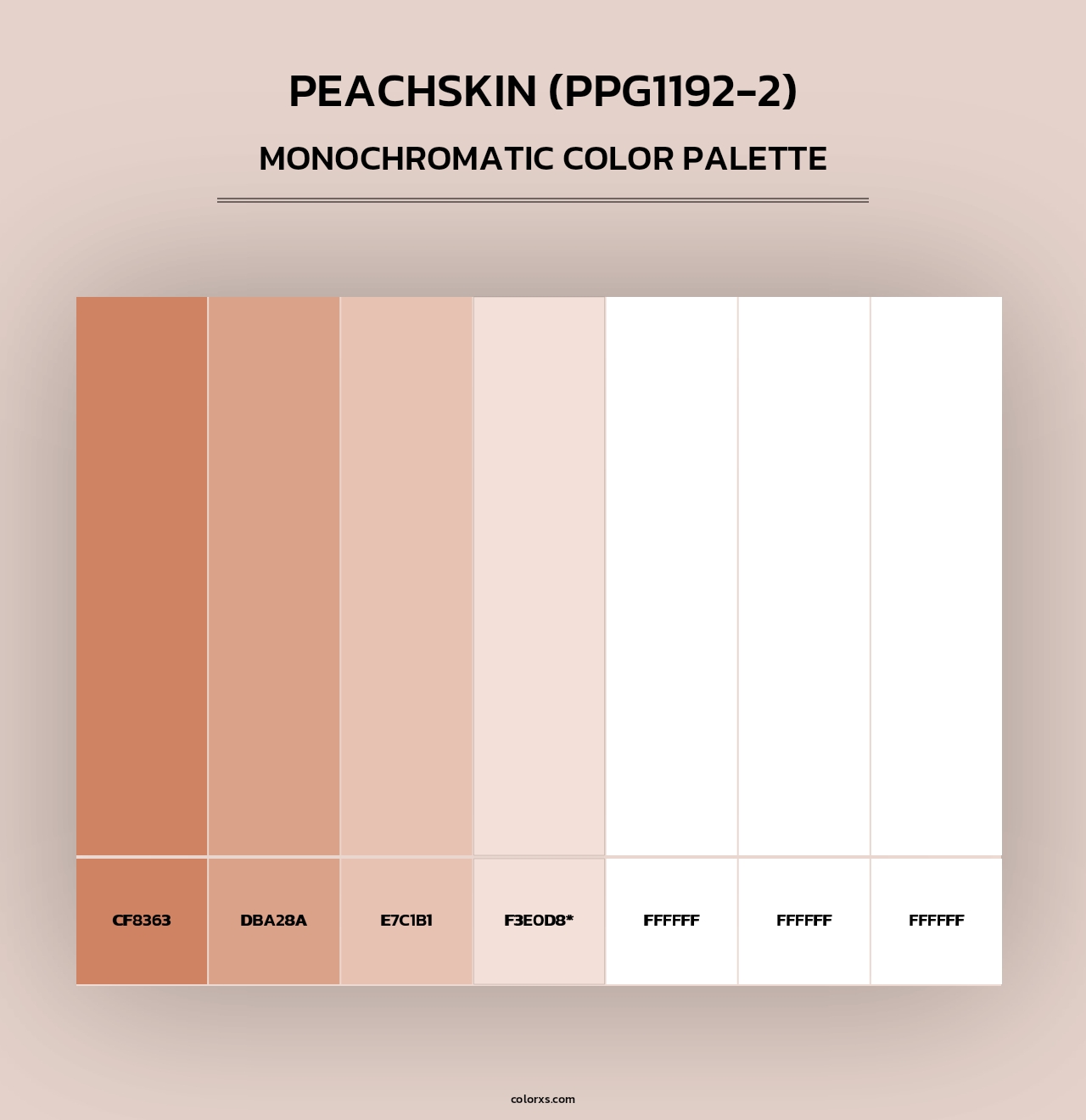 Peachskin (PPG1192-2) - Monochromatic Color Palette
