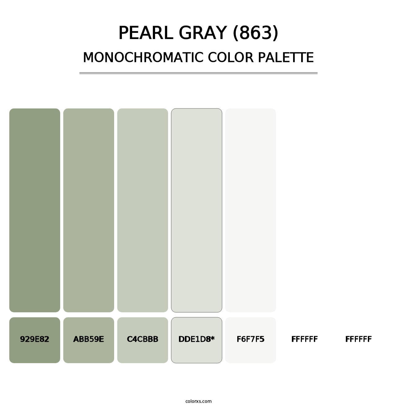 Pearl Gray (863) - Monochromatic Color Palette