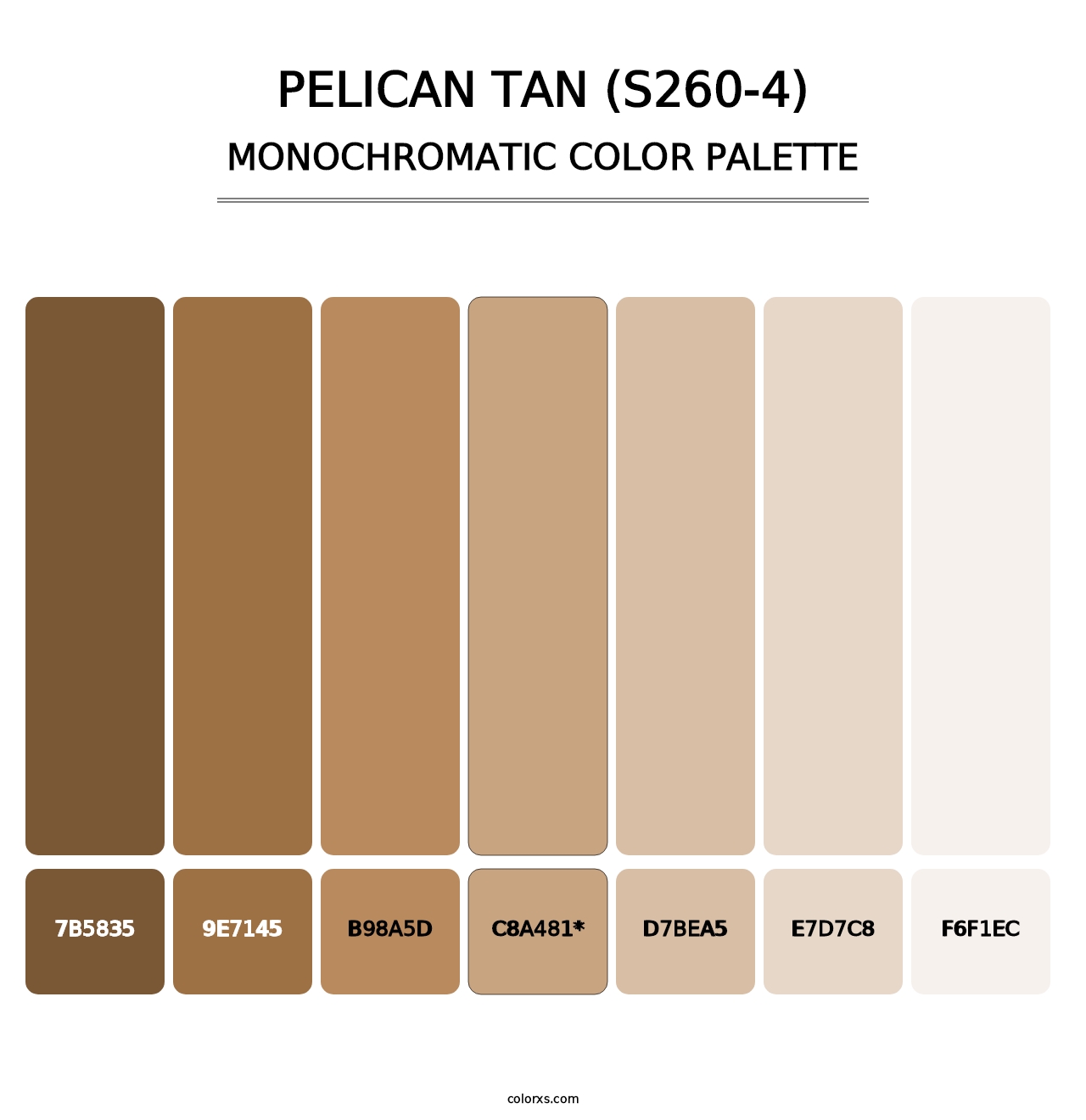 Pelican Tan (S260-4) - Monochromatic Color Palette