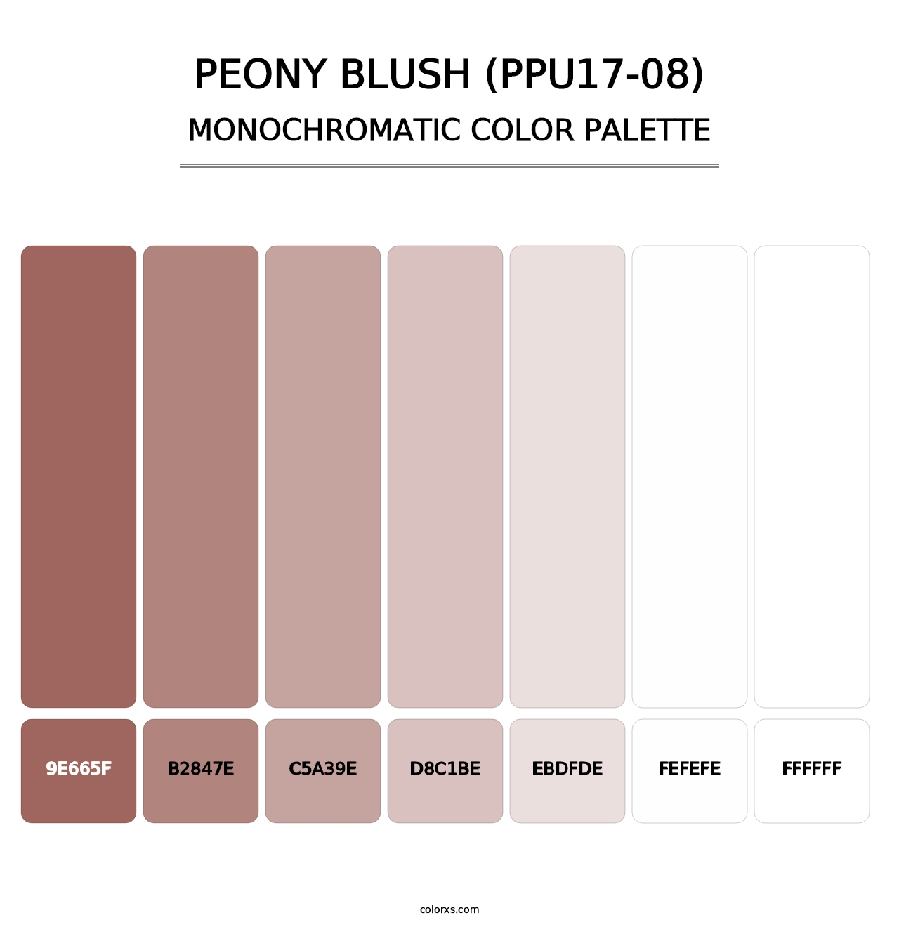Peony Blush (PPU17-08) - Monochromatic Color Palette