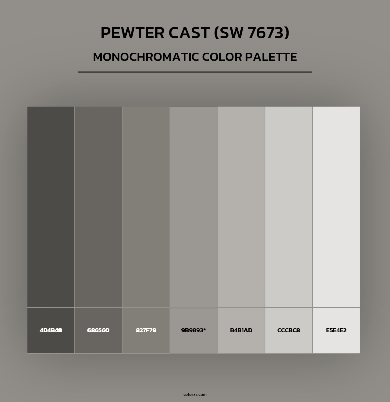 Pewter Cast (SW 7673) - Monochromatic Color Palette