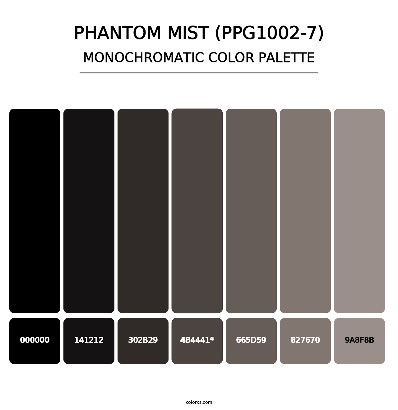 Phantom Mist (PPG1002-7) - Monochromatic Color Palette