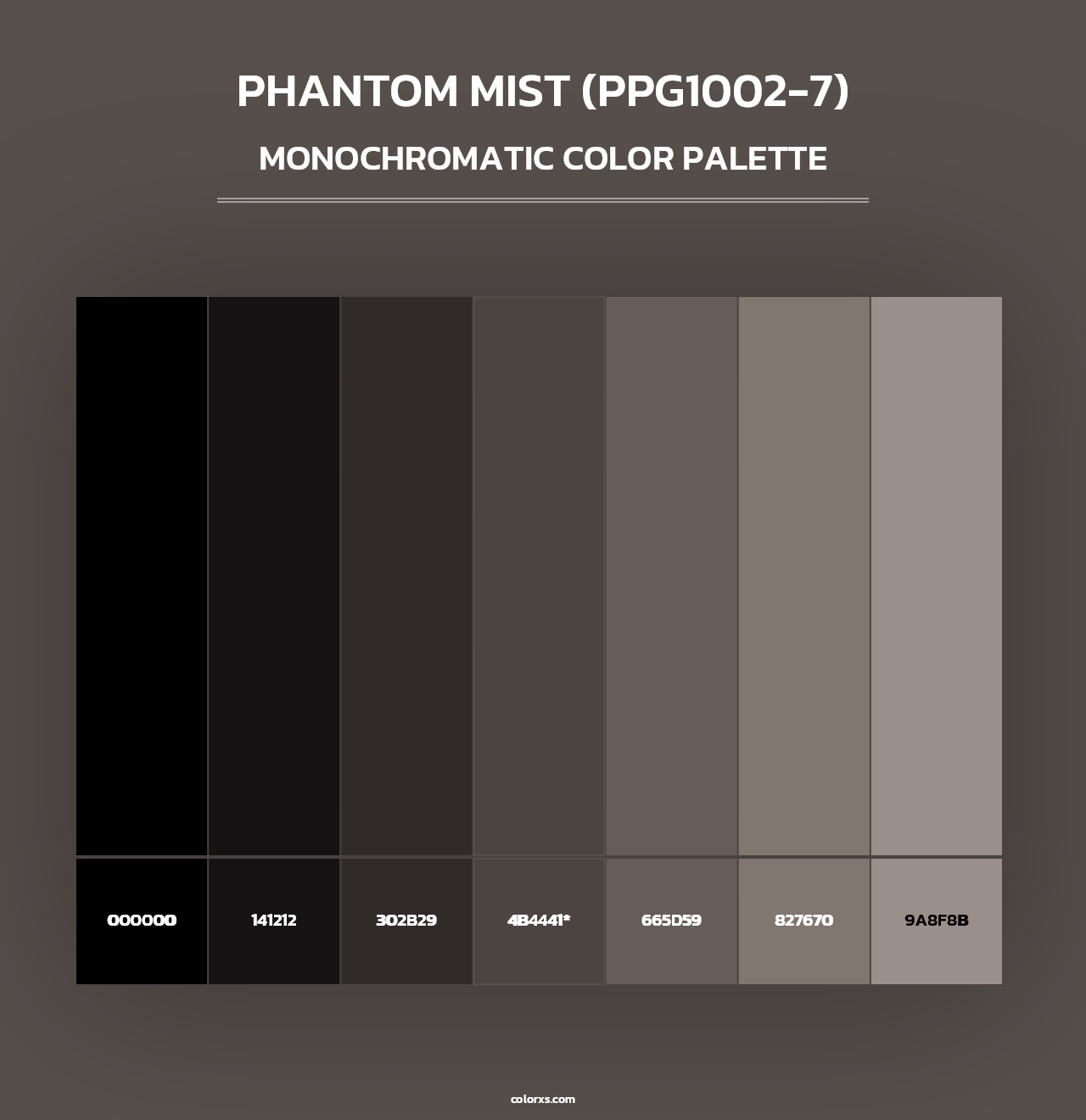 Phantom Mist (PPG1002-7) - Monochromatic Color Palette
