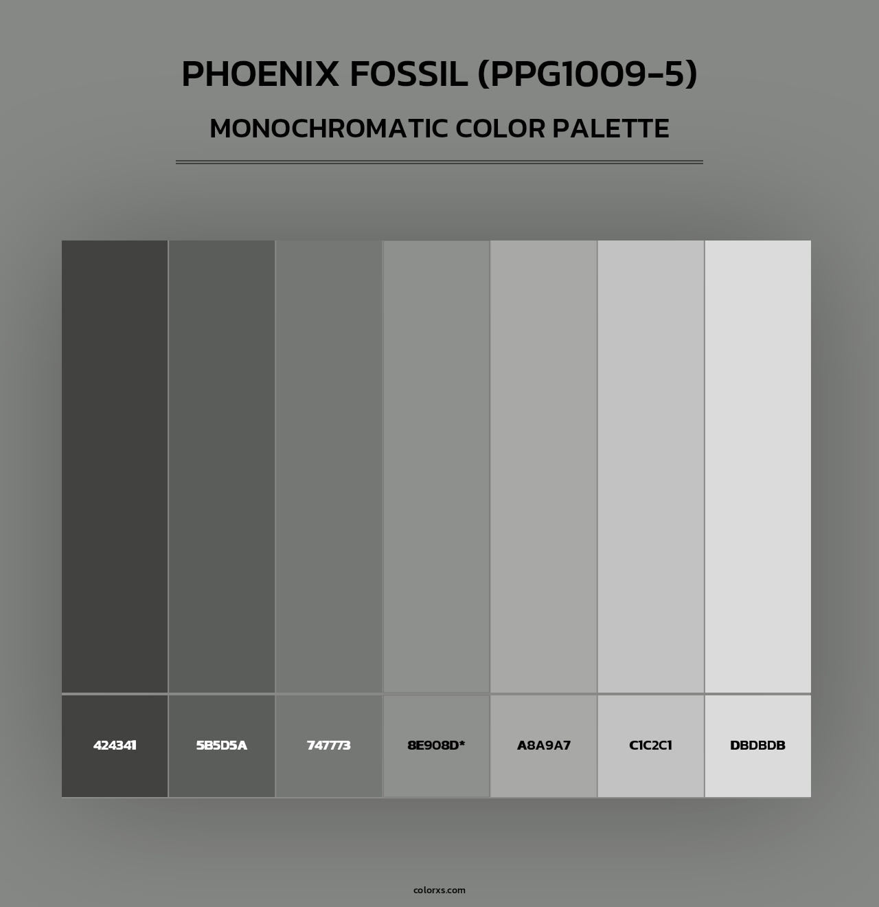 Phoenix Fossil (PPG1009-5) - Monochromatic Color Palette