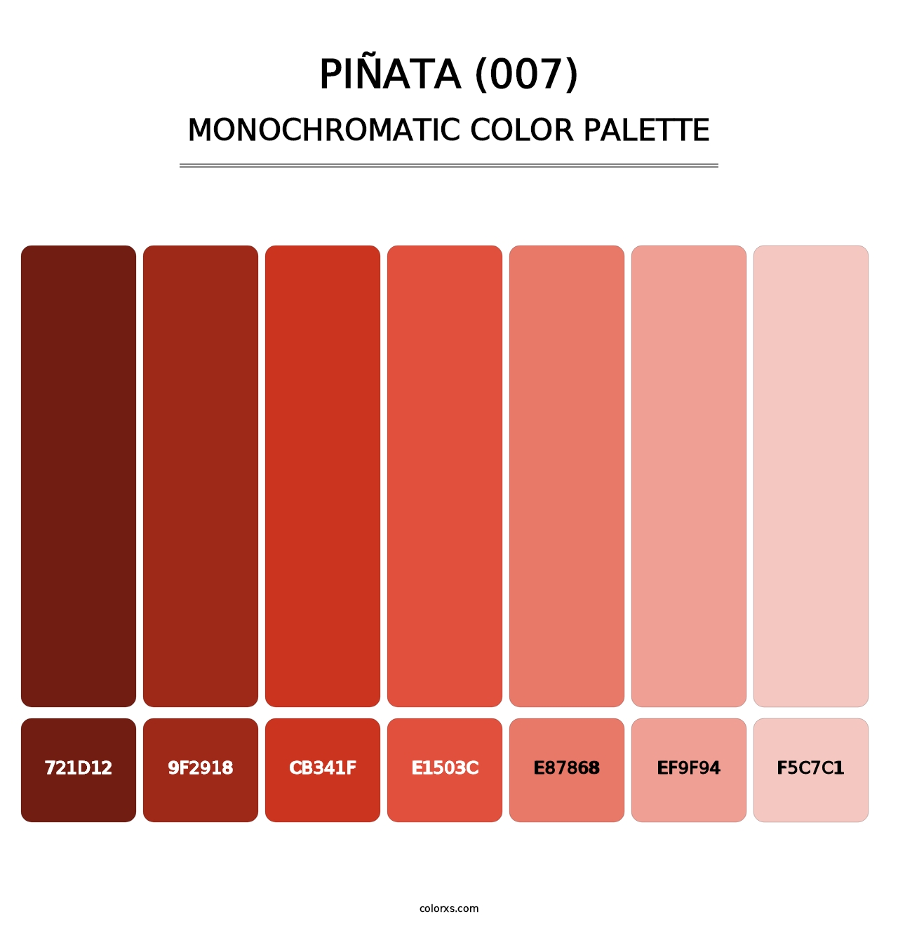 Piñata (007) - Monochromatic Color Palette