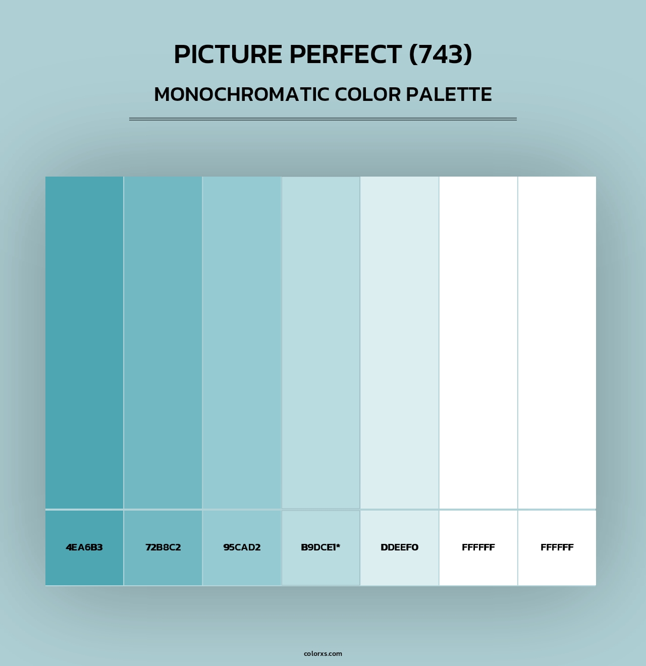 Picture Perfect (743) - Monochromatic Color Palette