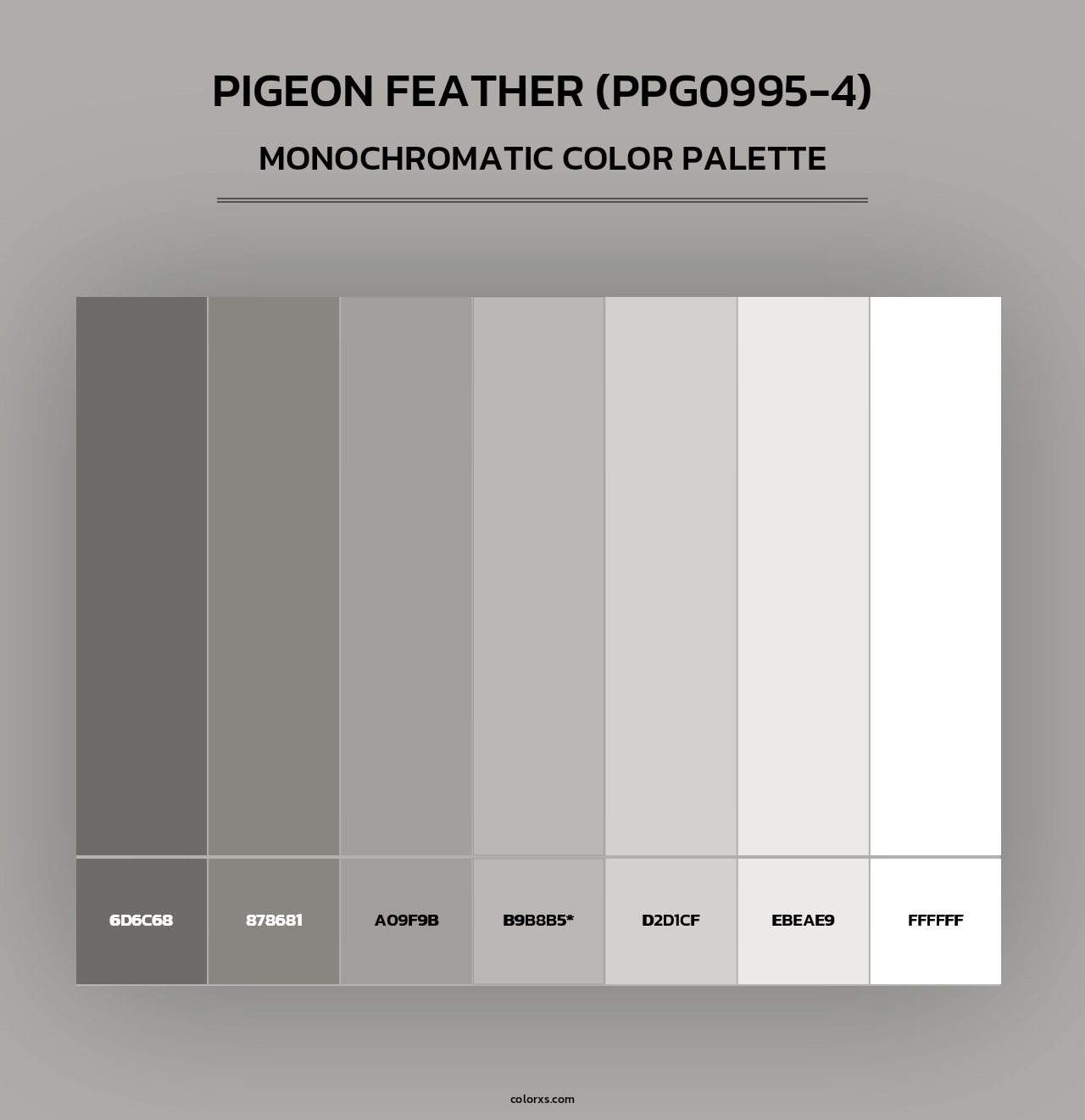 Pigeon Feather (PPG0995-4) - Monochromatic Color Palette