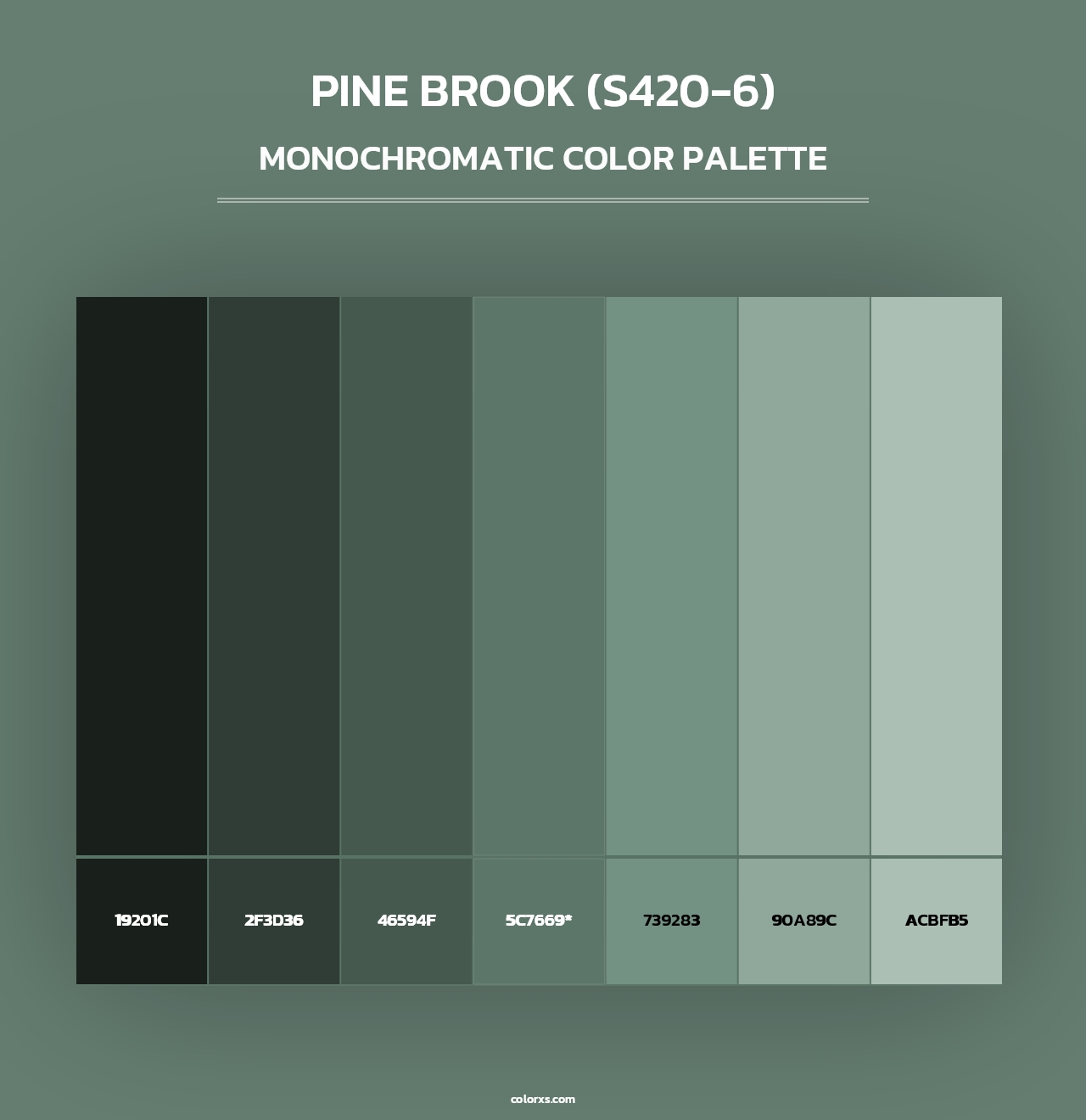 Pine Brook (S420-6) - Monochromatic Color Palette