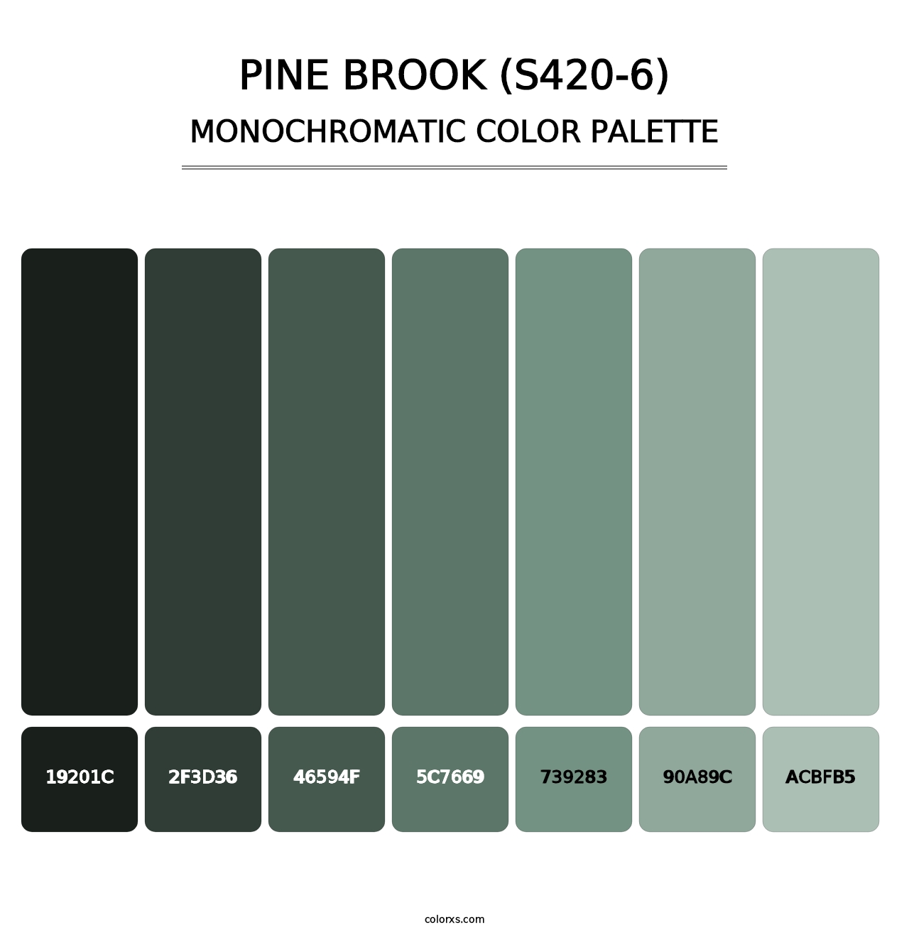 Pine Brook (S420-6) - Monochromatic Color Palette