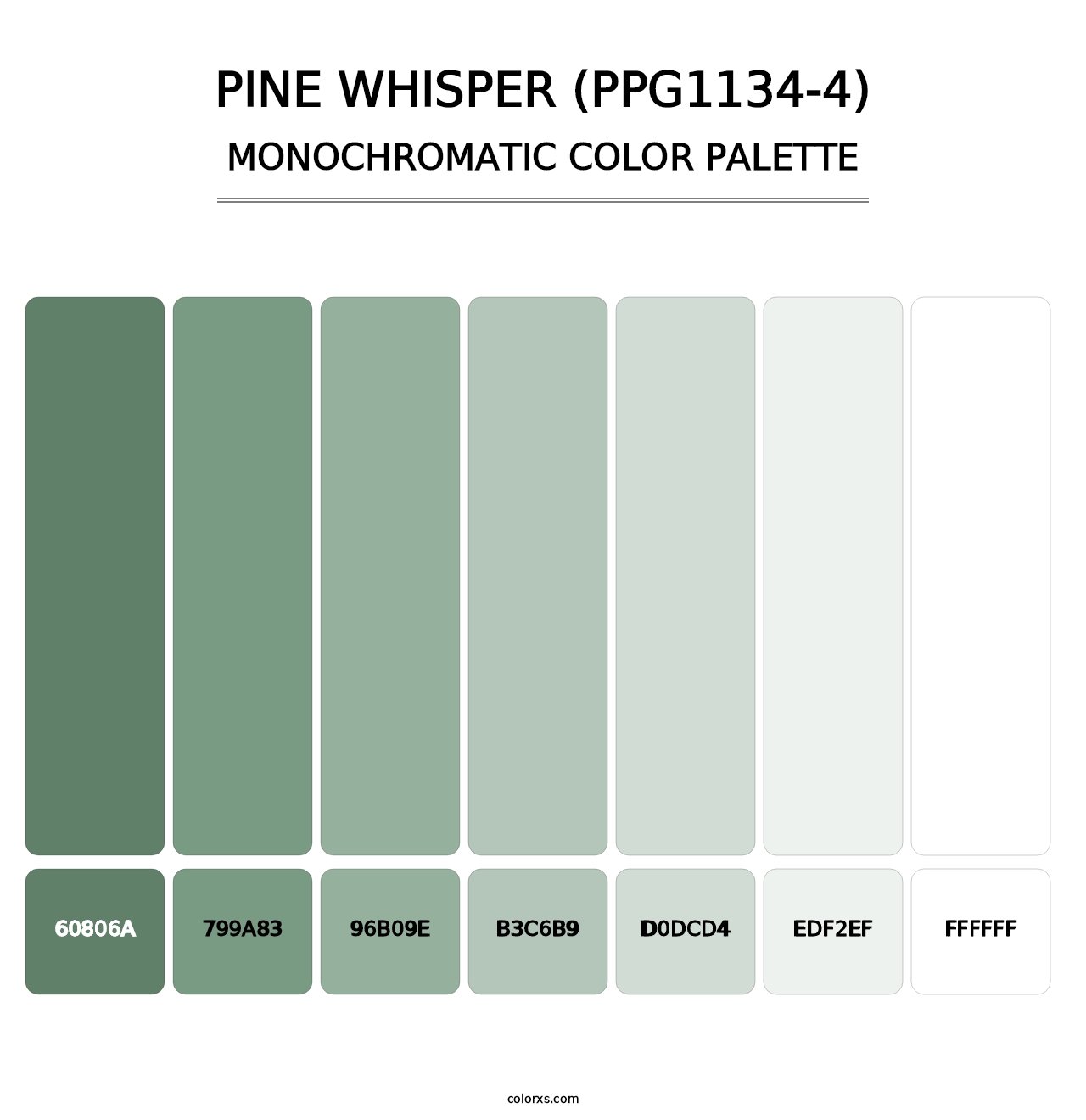 Pine Whisper (PPG1134-4) - Monochromatic Color Palette