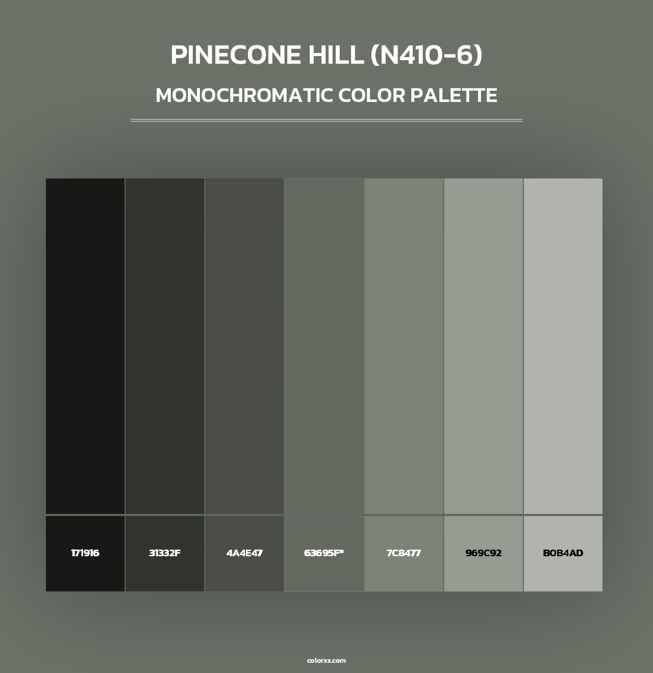Pinecone Hill (N410-6) - Monochromatic Color Palette