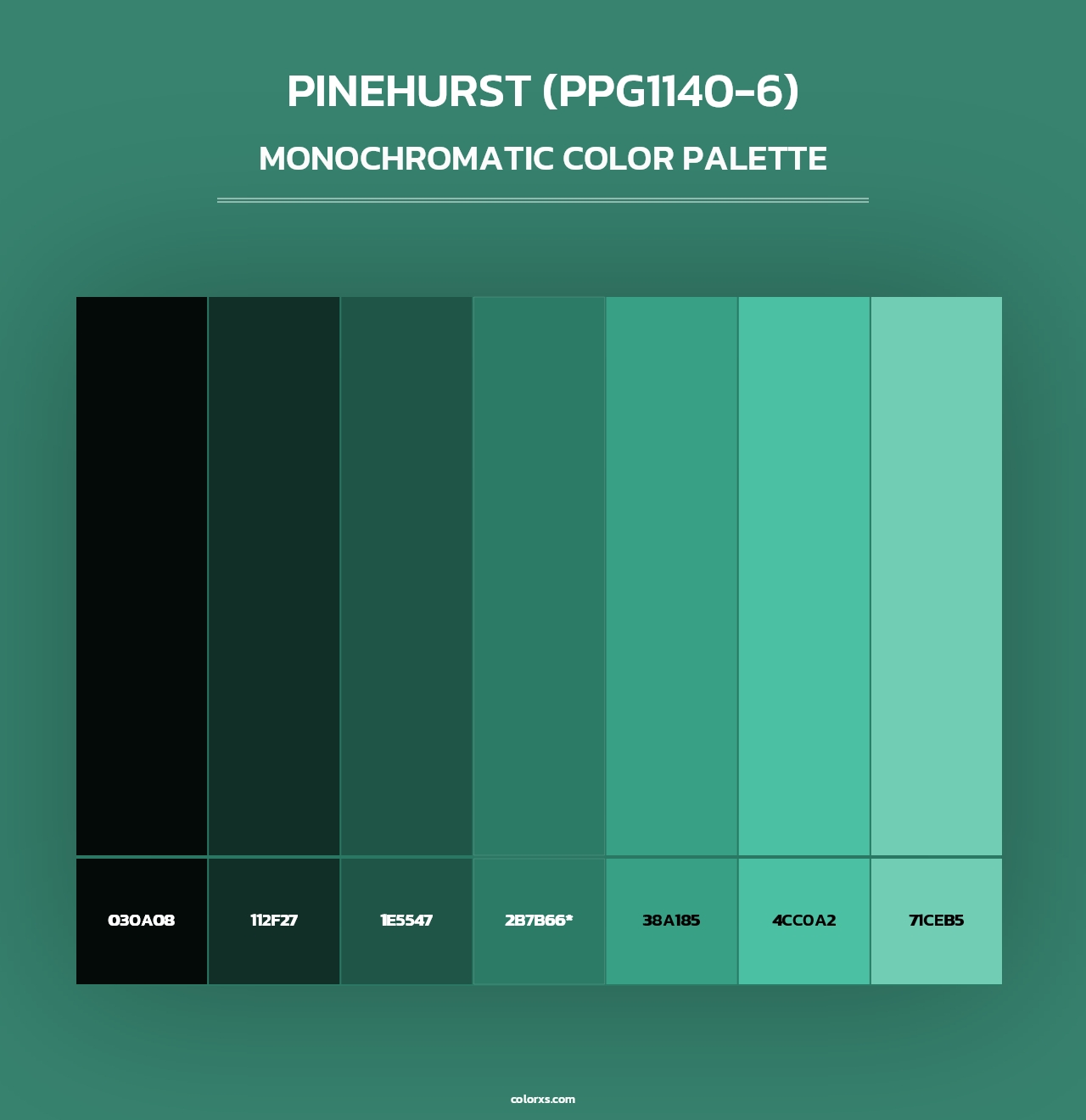 Pinehurst (PPG1140-6) - Monochromatic Color Palette