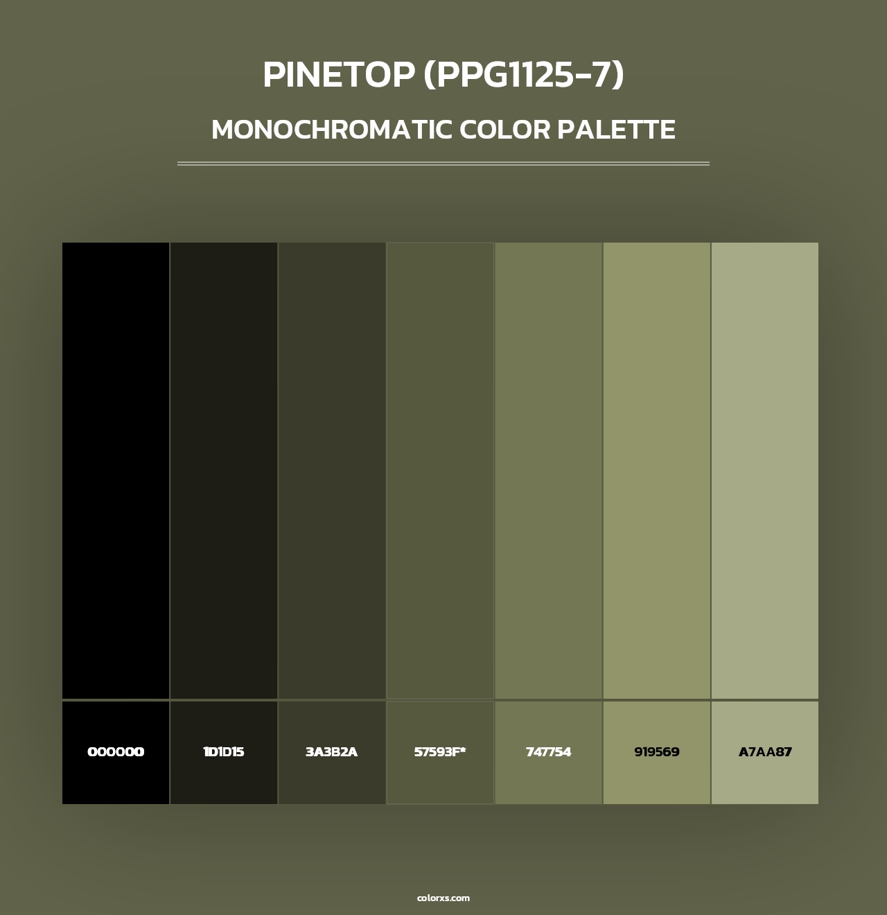 Pinetop (PPG1125-7) - Monochromatic Color Palette