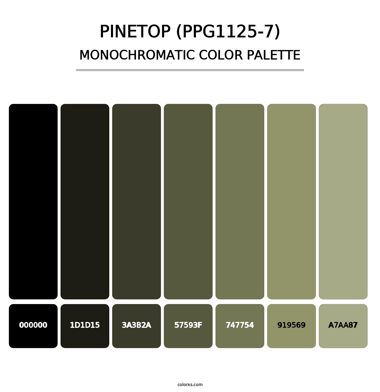 Pinetop (PPG1125-7) - Monochromatic Color Palette