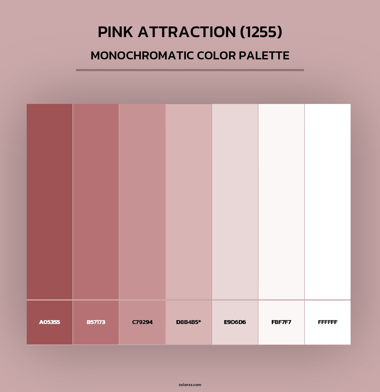 Pink Attraction (1255) - Monochromatic Color Palette