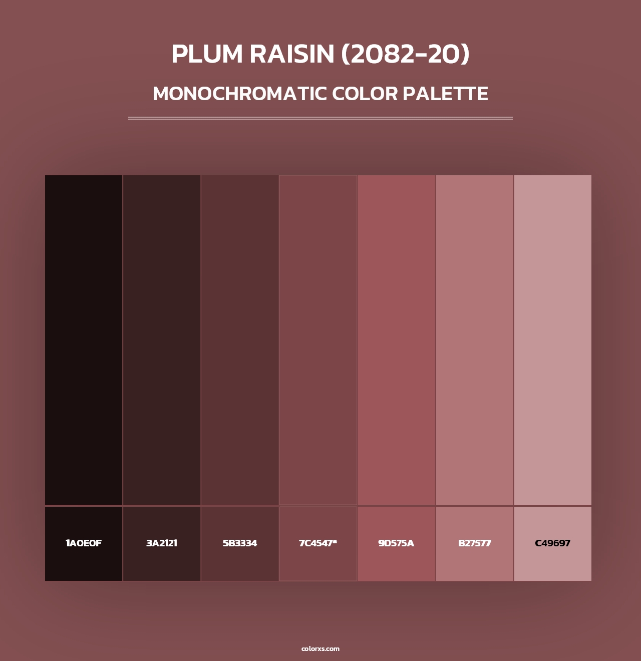 Plum Raisin (2082-20) - Monochromatic Color Palette