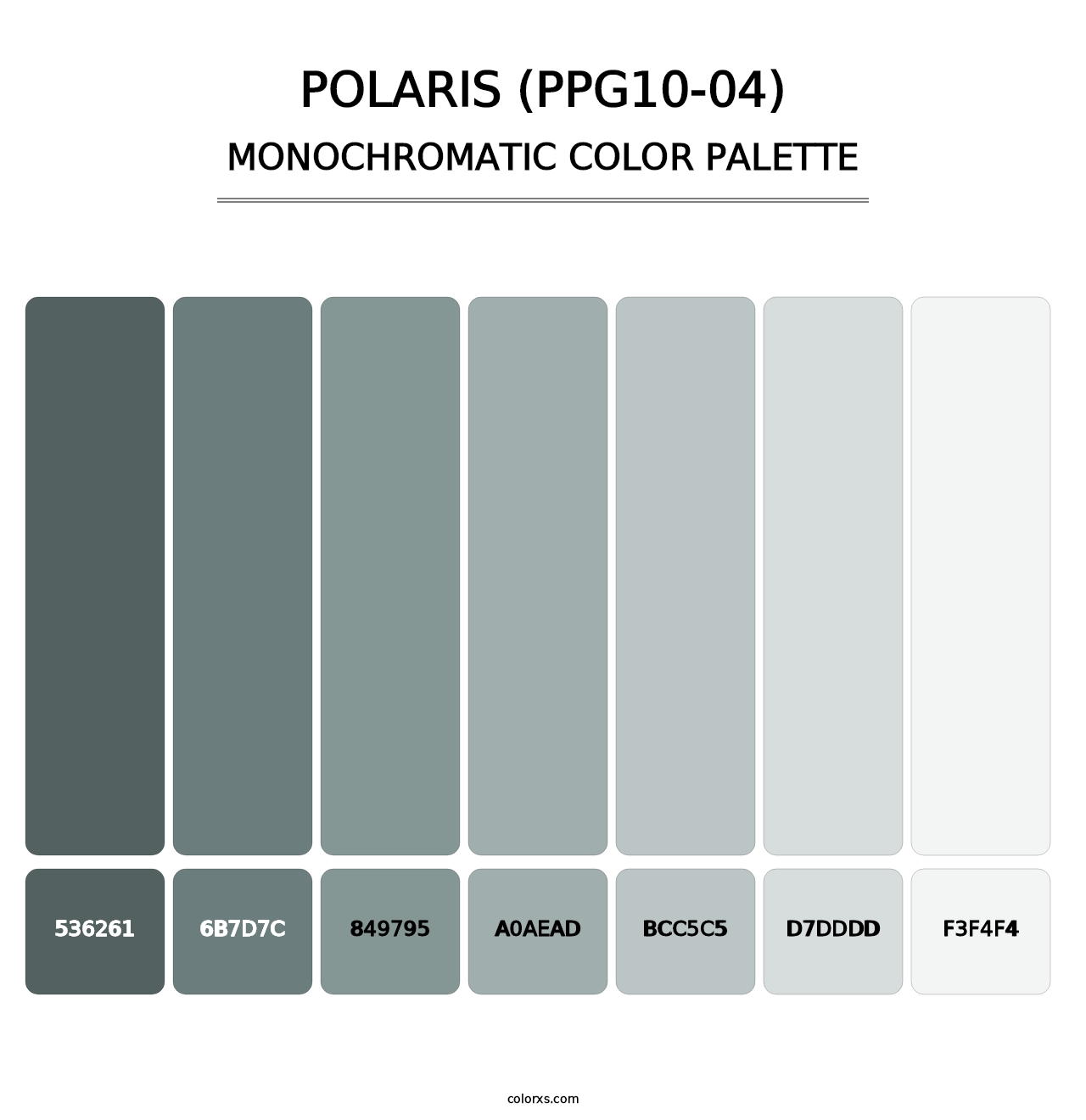 Polaris (PPG10-04) - Monochromatic Color Palette
