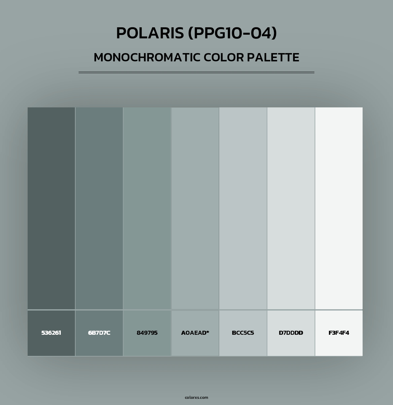 Polaris (PPG10-04) - Monochromatic Color Palette