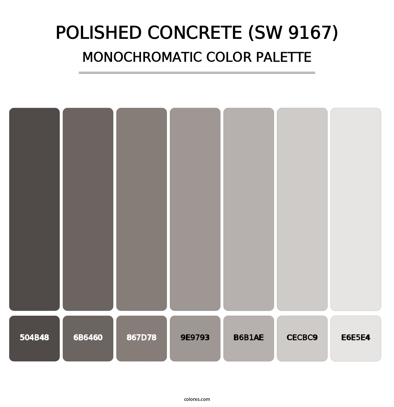 Polished Concrete (SW 9167) - Monochromatic Color Palette