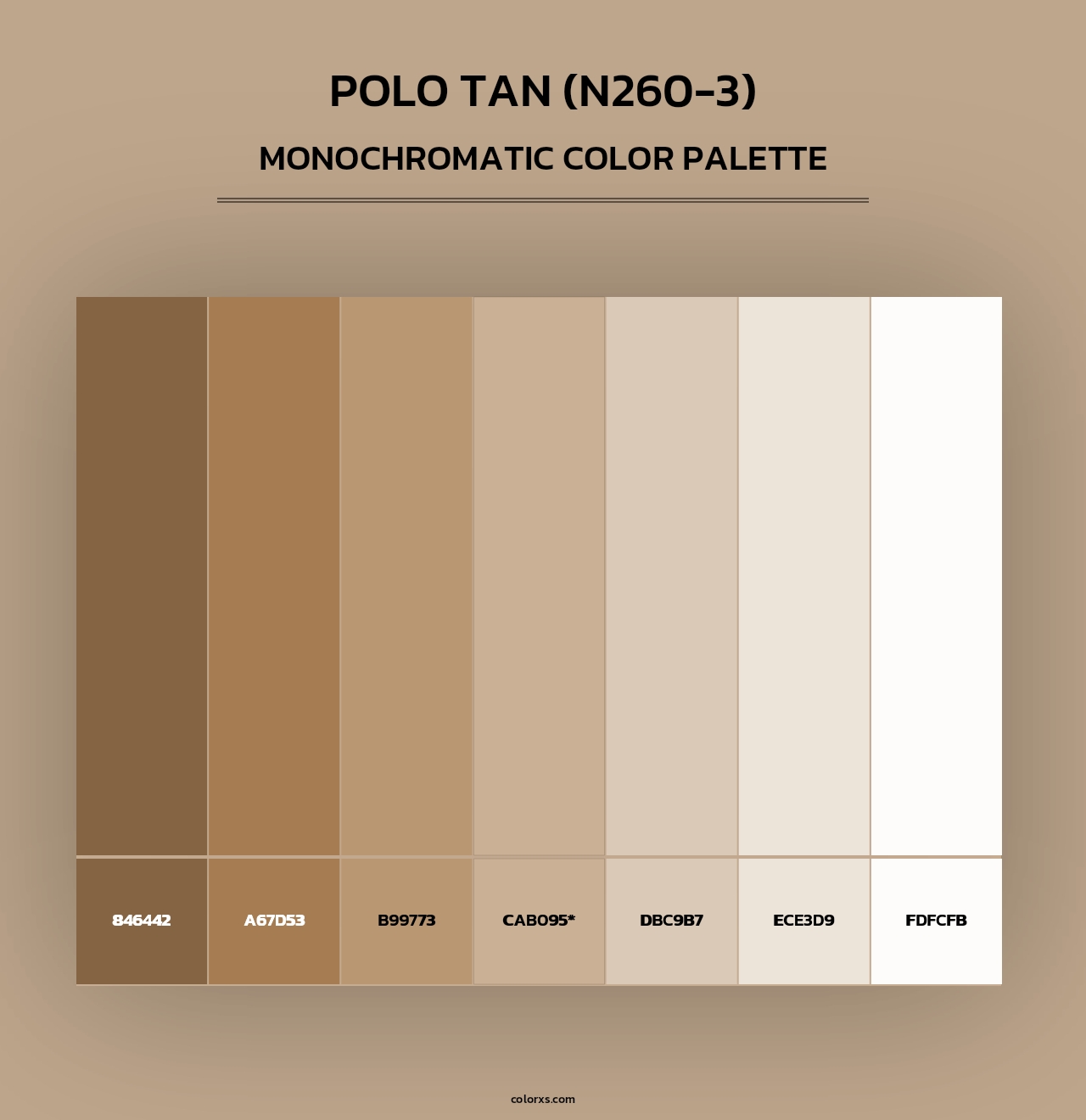 Polo Tan (N260-3) - Monochromatic Color Palette