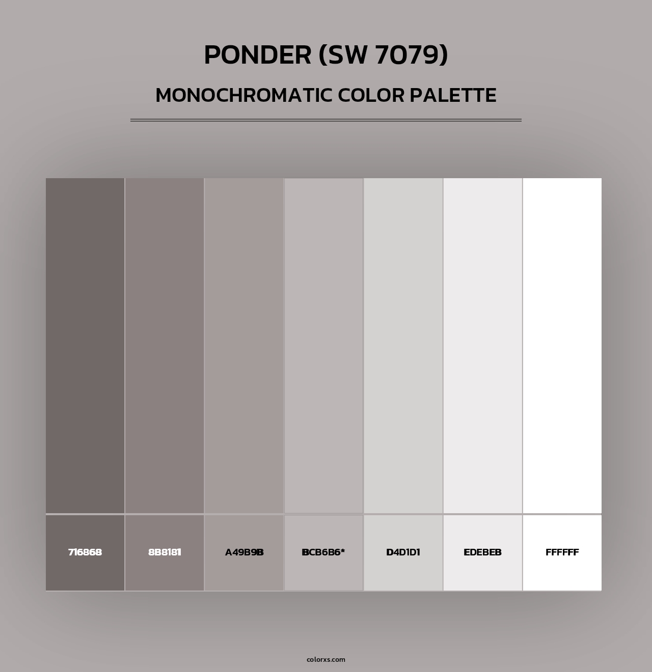 Ponder (SW 7079) - Monochromatic Color Palette