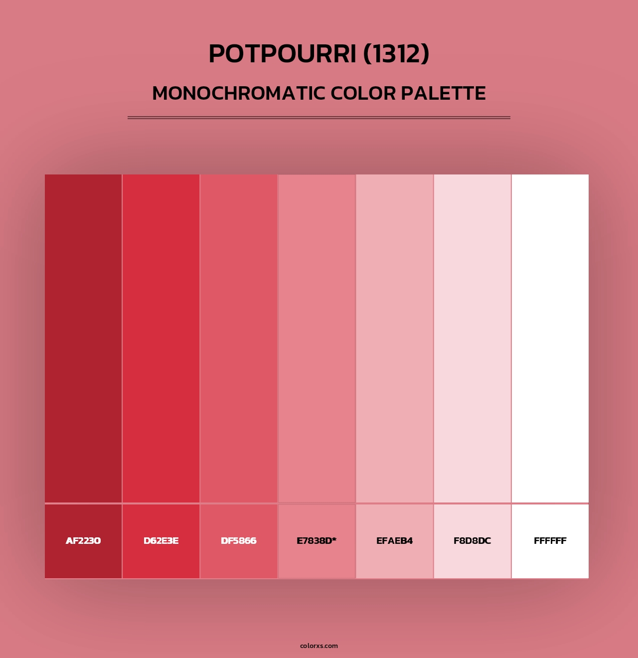 Potpourri (1312) - Monochromatic Color Palette