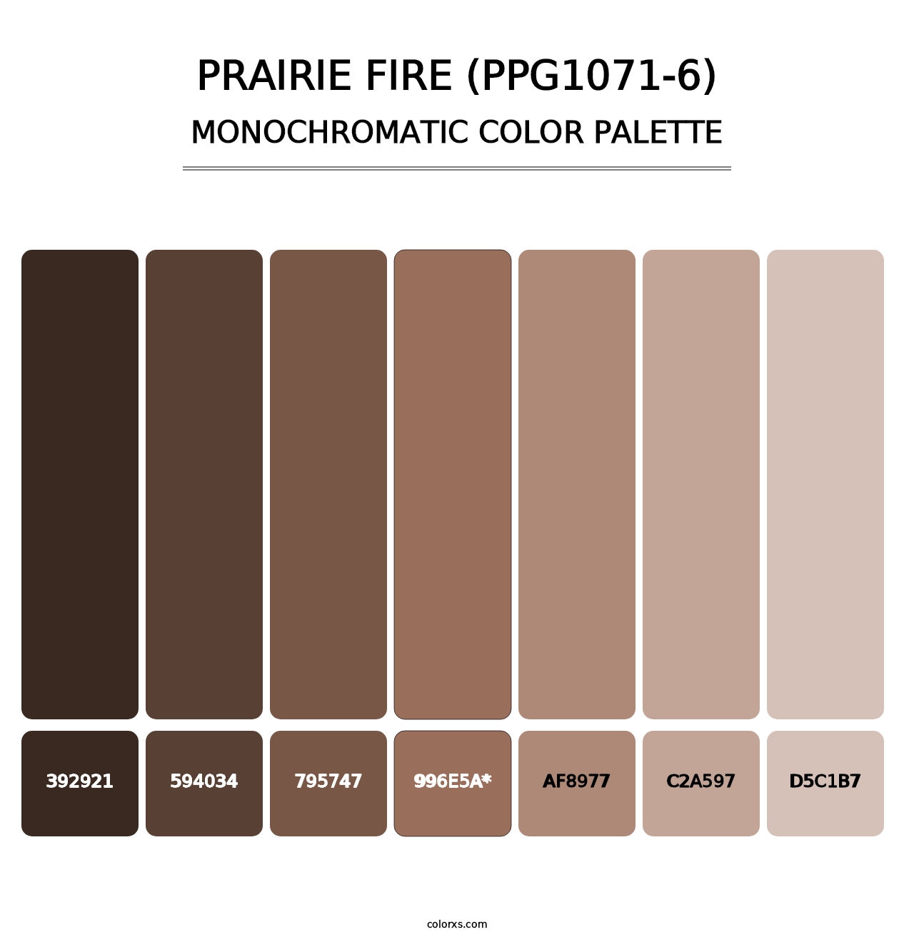 Prairie Fire (PPG1071-6) - Monochromatic Color Palette