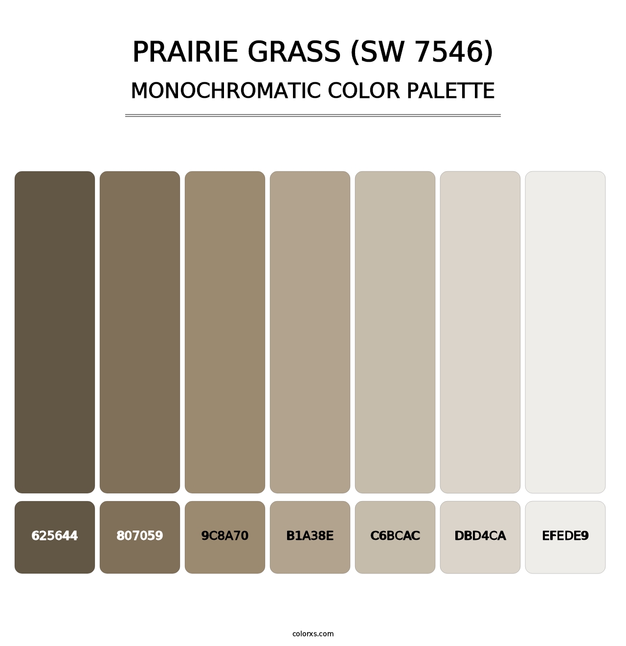 Prairie Grass (SW 7546) - Monochromatic Color Palette