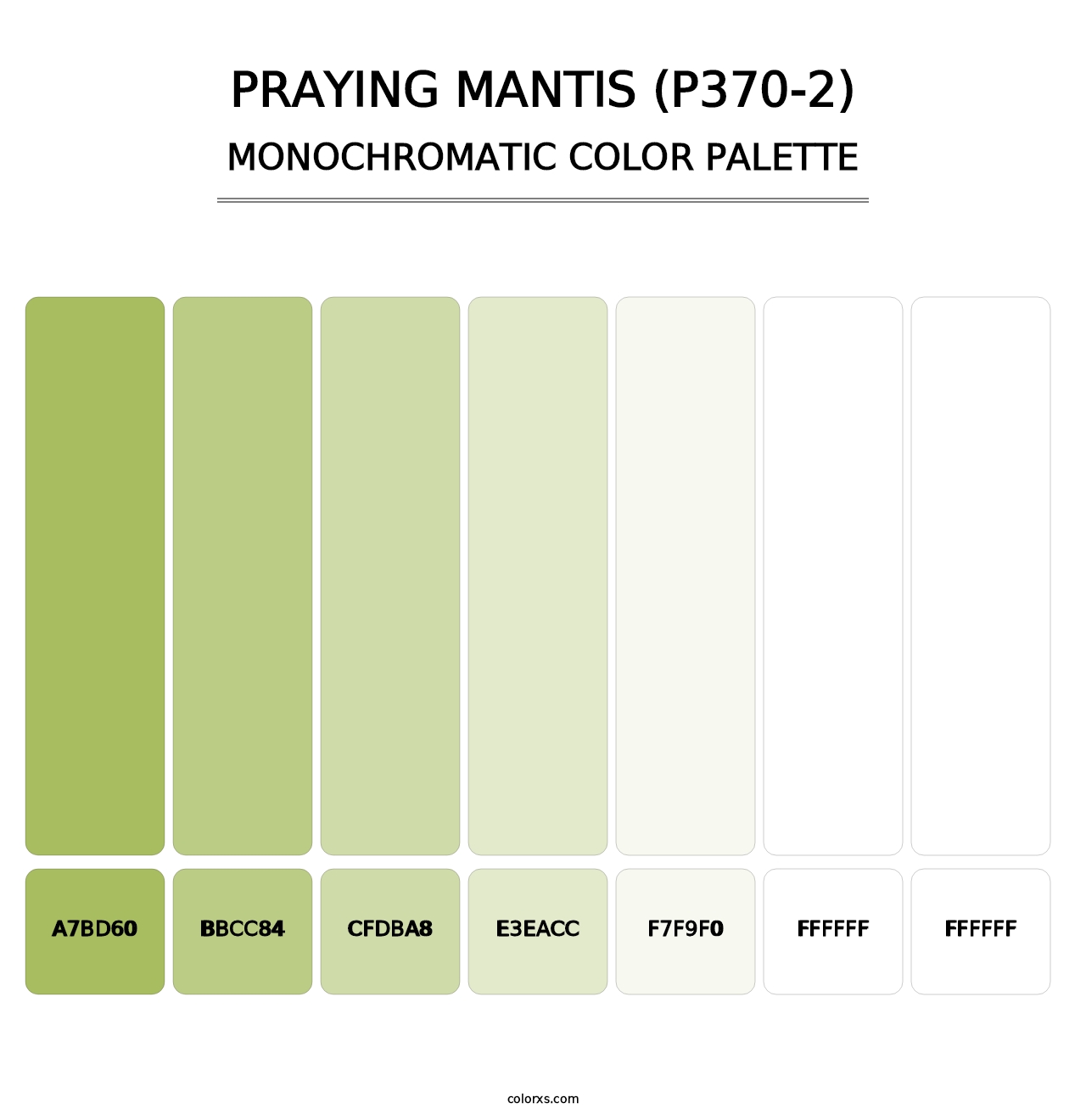 Praying Mantis (P370-2) - Monochromatic Color Palette