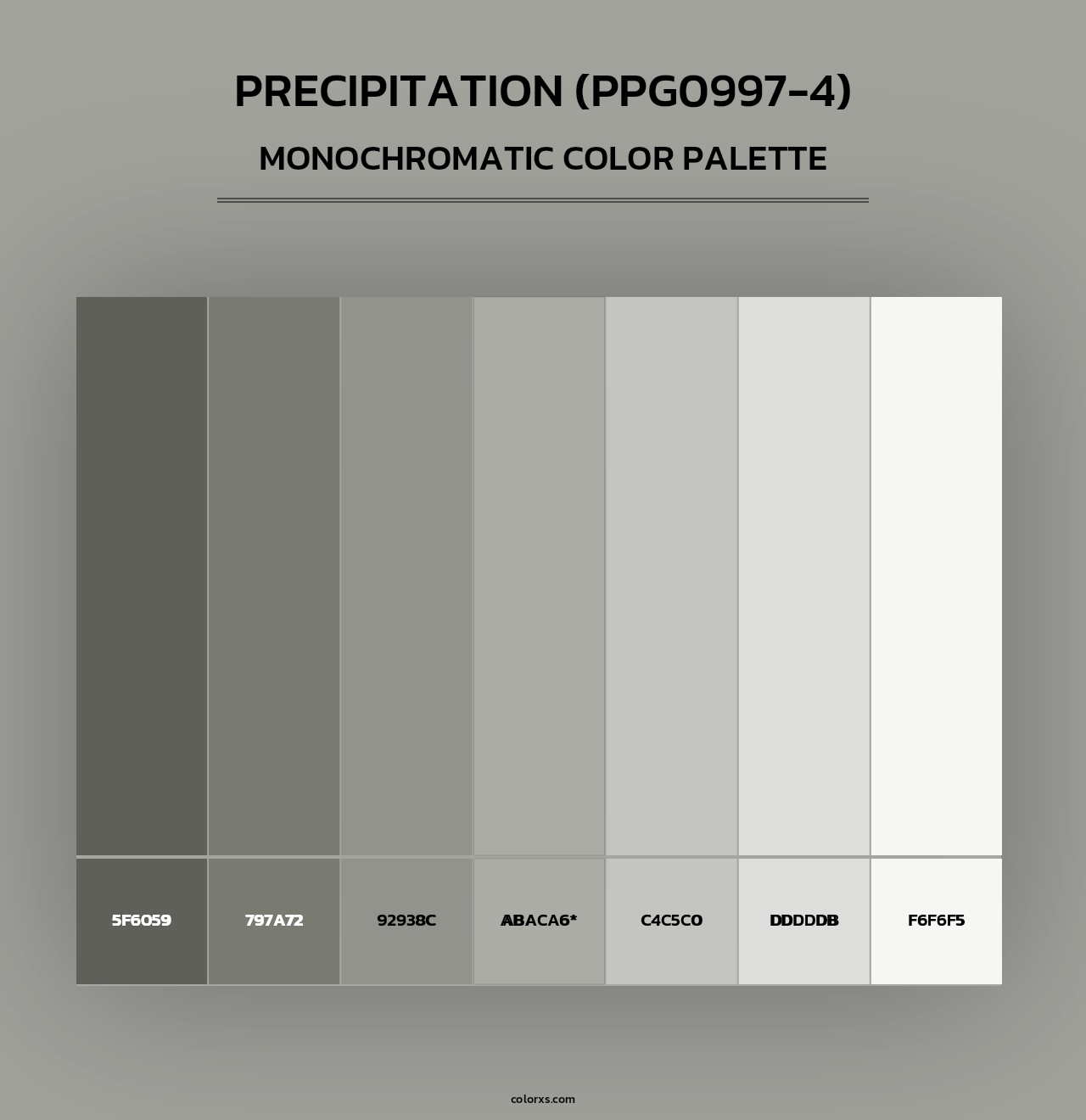 Precipitation (PPG0997-4) - Monochromatic Color Palette