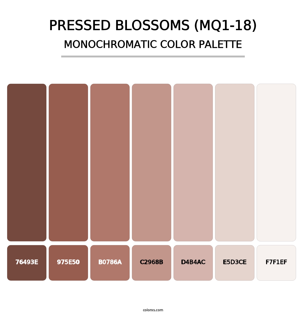 Pressed Blossoms (MQ1-18) - Monochromatic Color Palette