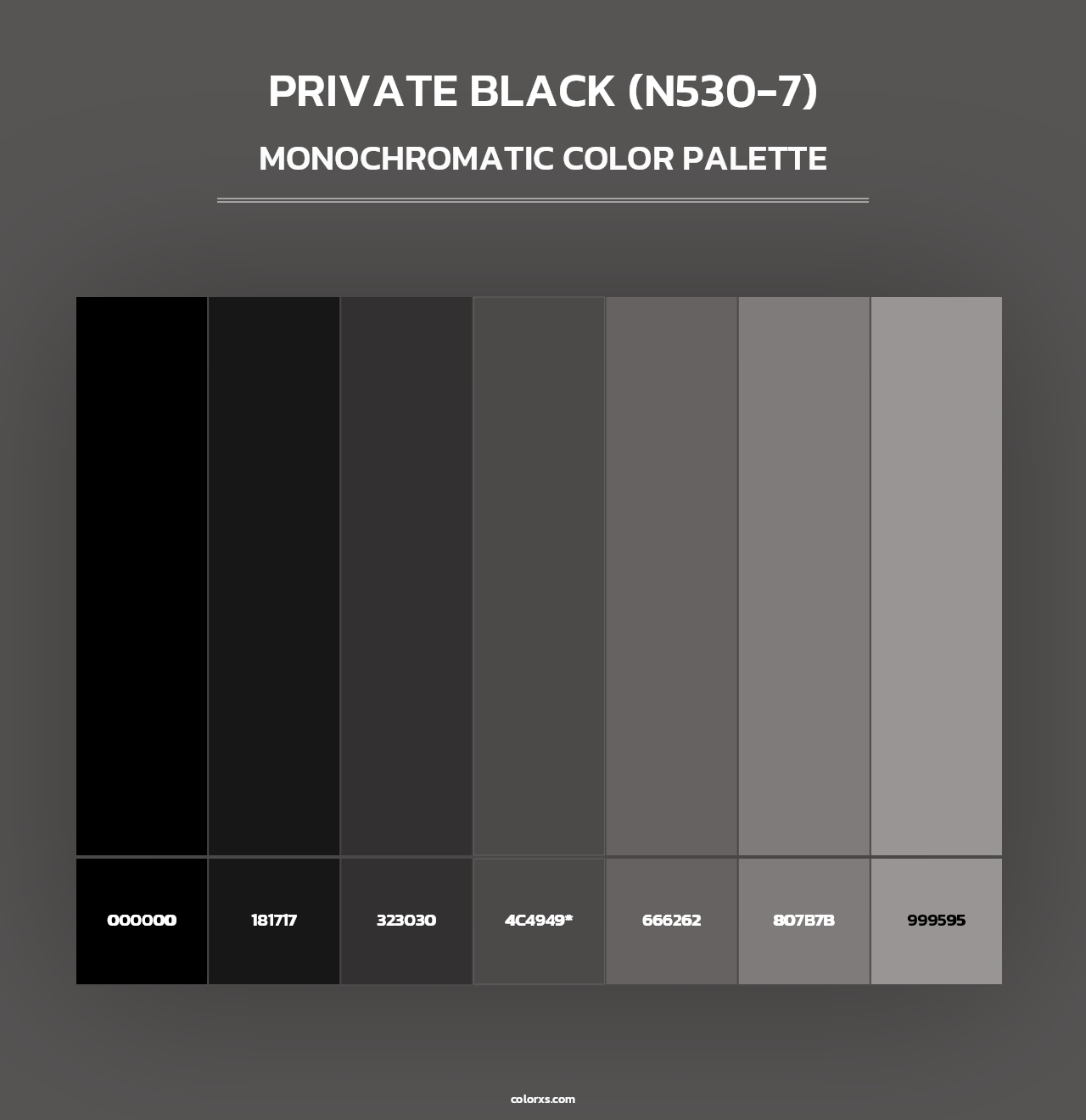 Private Black (N530-7) - Monochromatic Color Palette