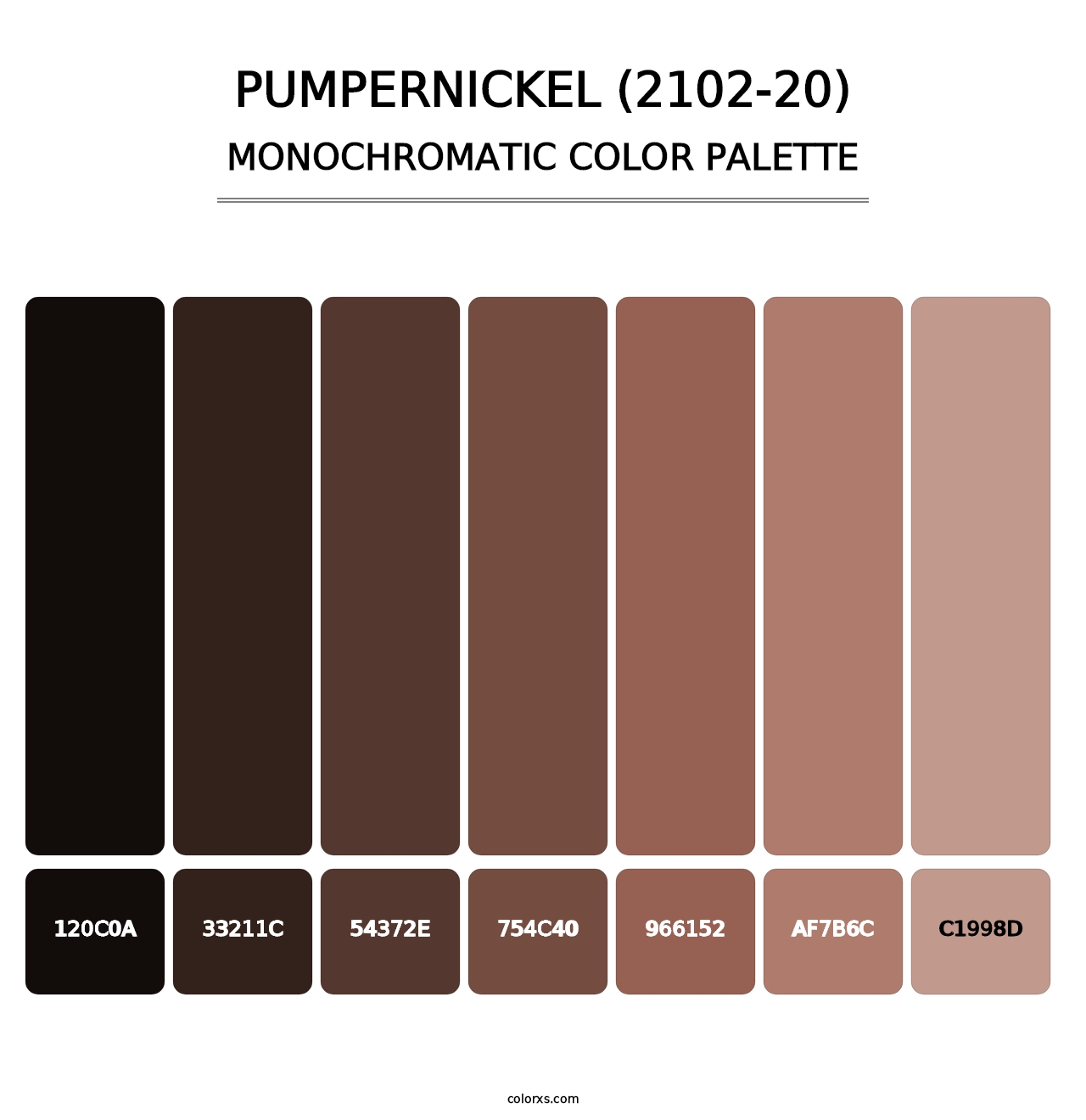 Pumpernickel (2102-20) - Monochromatic Color Palette
