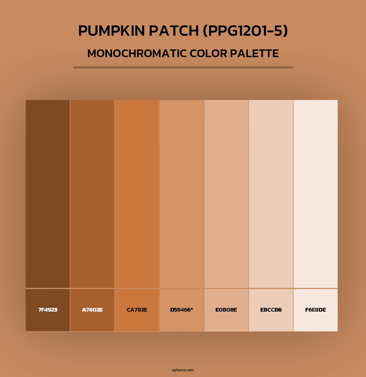 Pumpkin Patch (PPG1201-5) - Monochromatic Color Palette