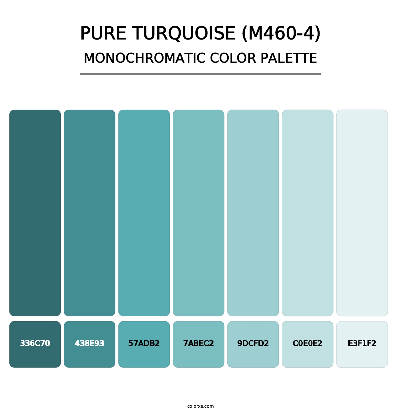 Pure Turquoise (M460-4) - Monochromatic Color Palette
