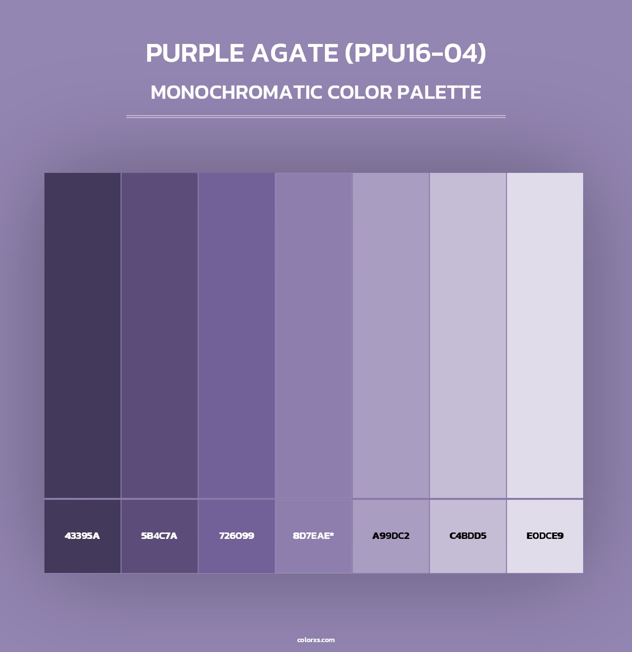 Purple Agate (PPU16-04) - Monochromatic Color Palette