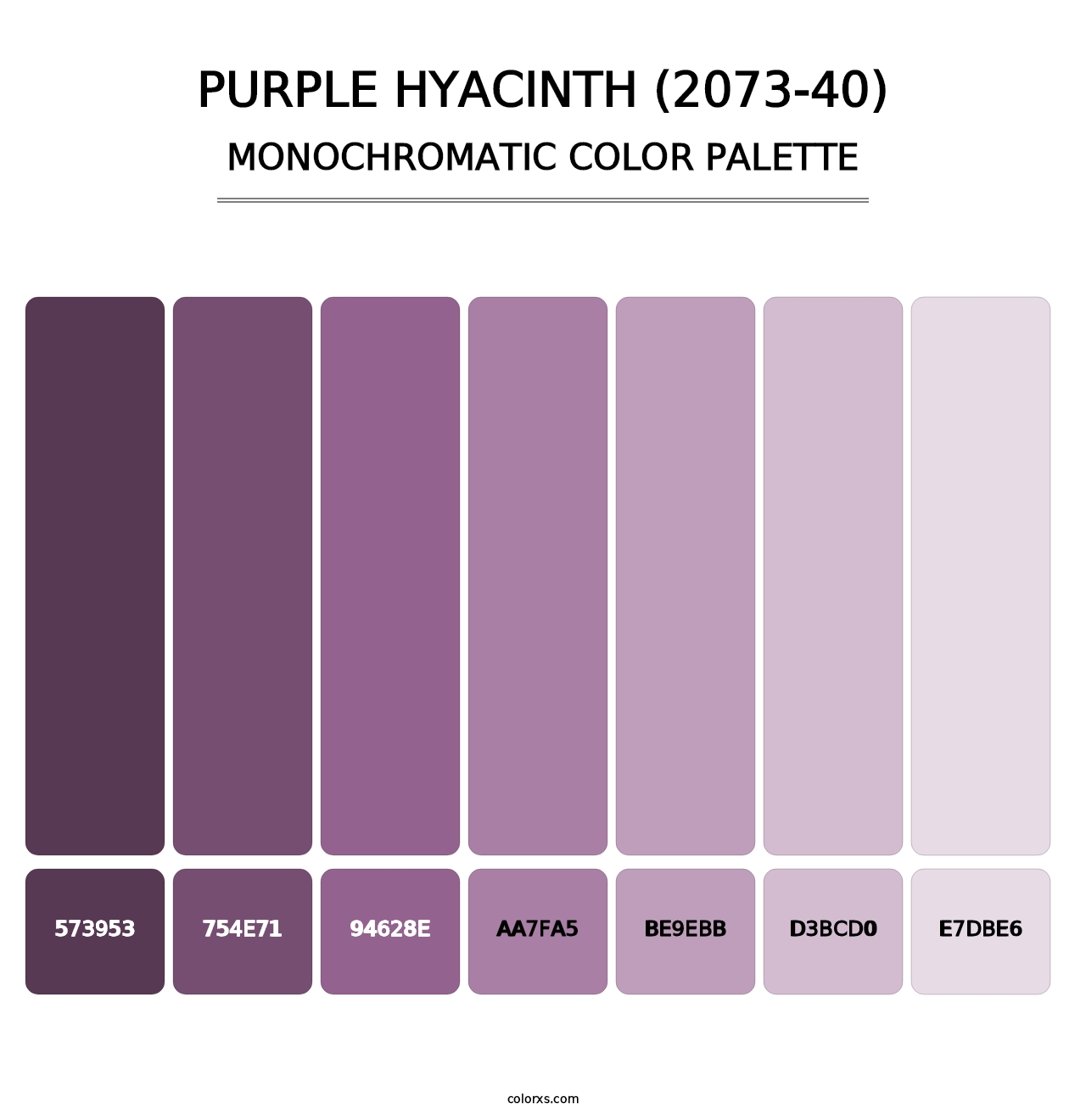 Purple Hyacinth (2073-40) - Monochromatic Color Palette