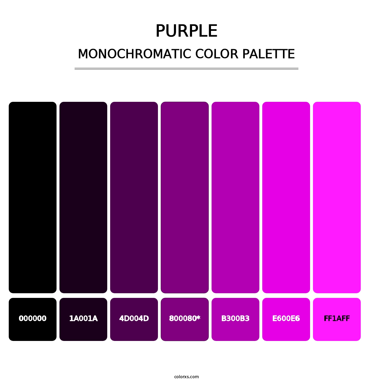 Purple - Monochromatic Color Palette